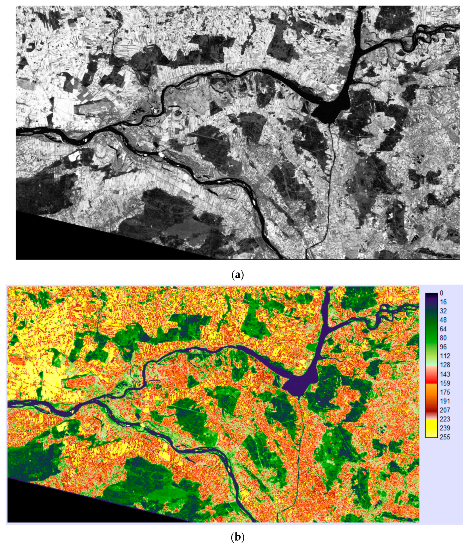 Algorithms 13 00188 g004