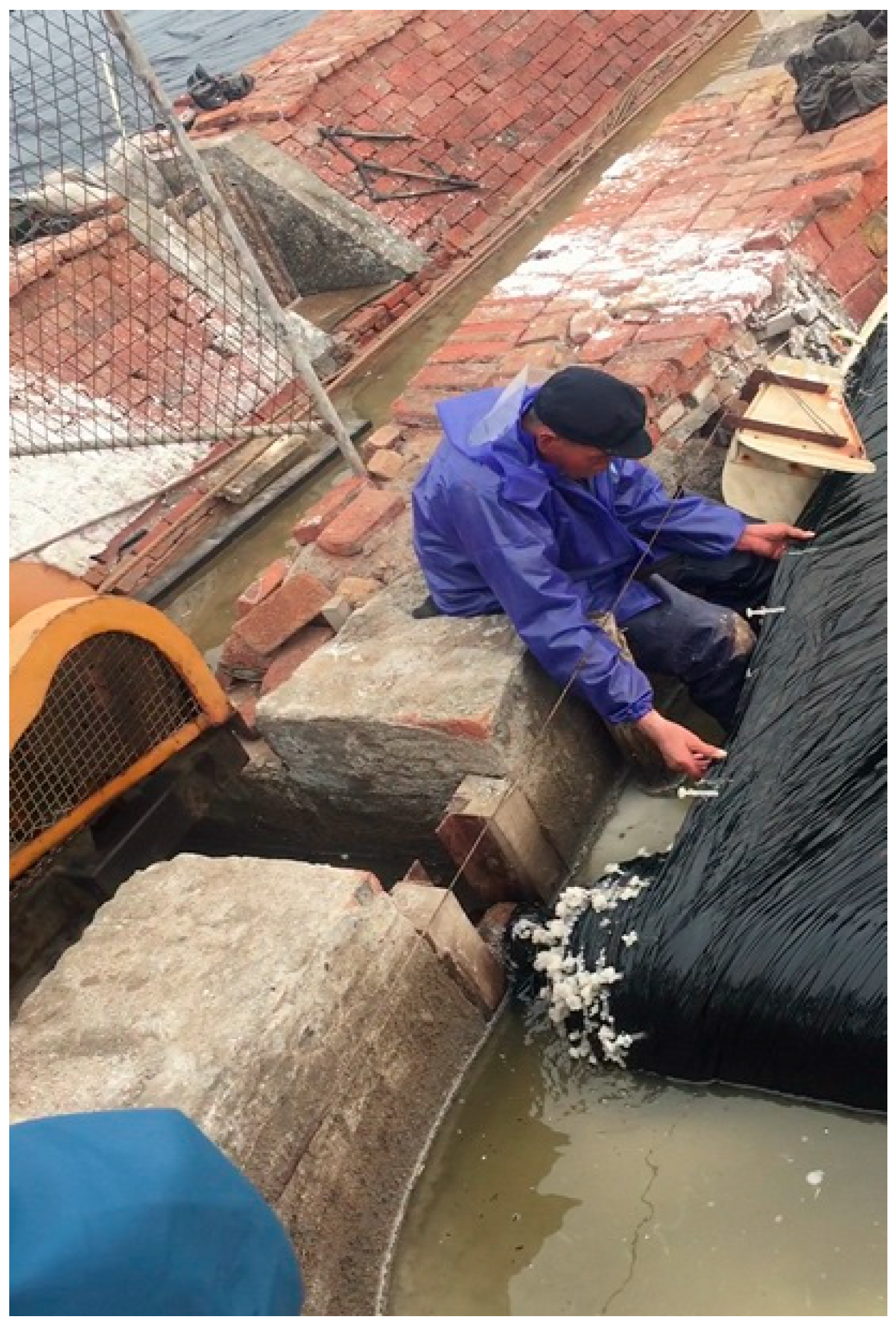 Algorithms 13 00203 g008