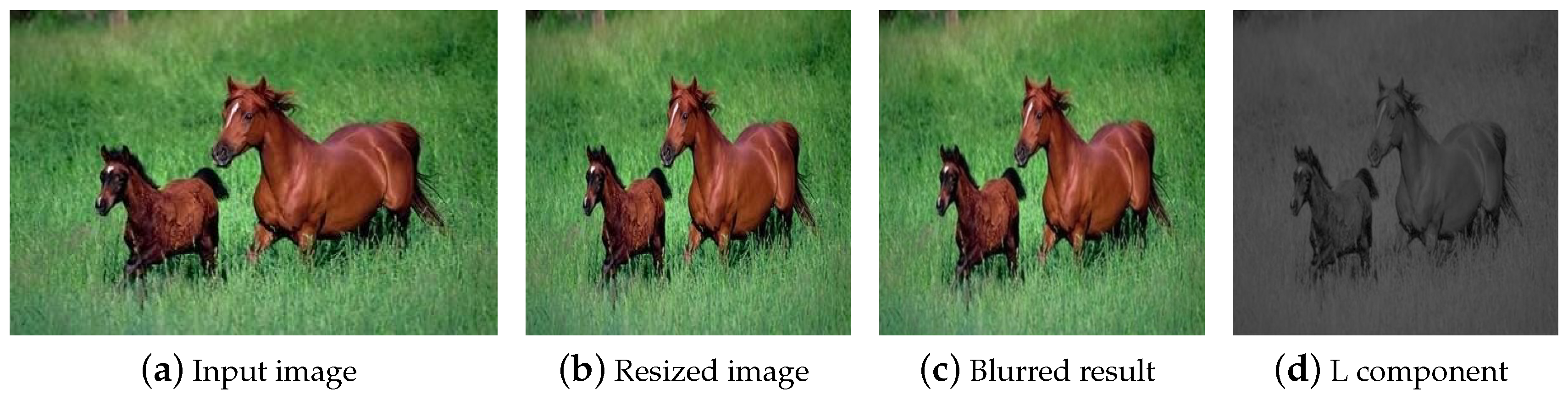 Algorithms 13 00227 g003