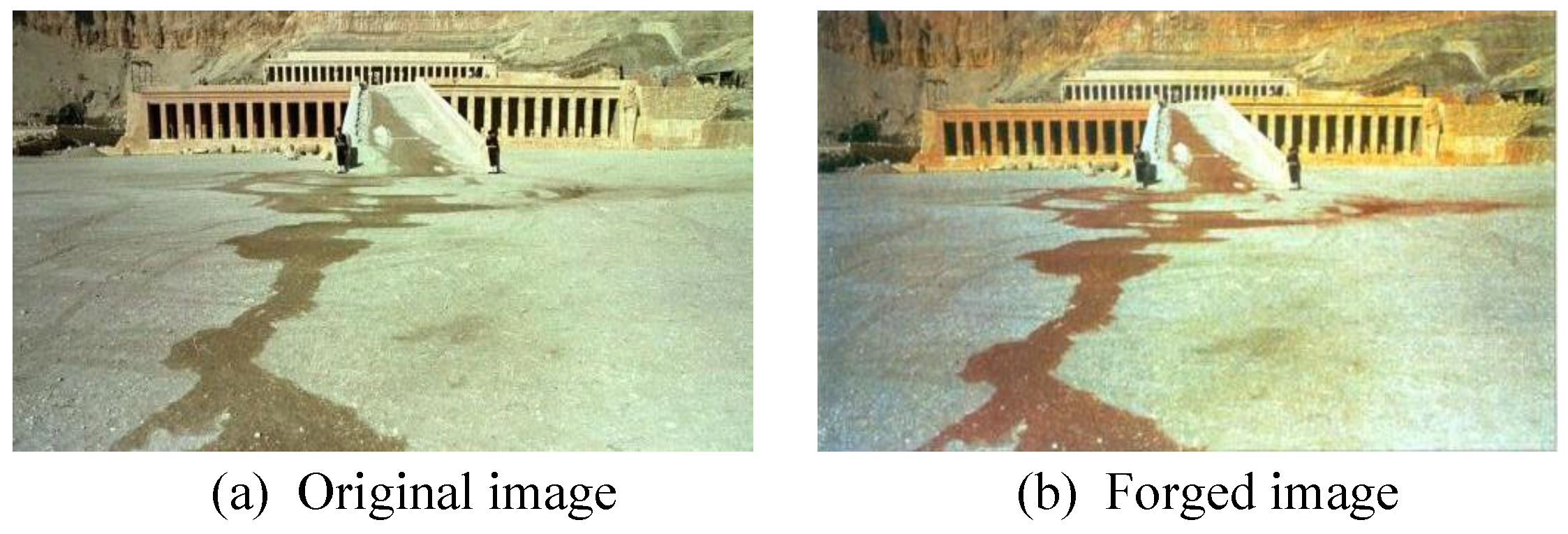 Algorithms 13 00227 g005