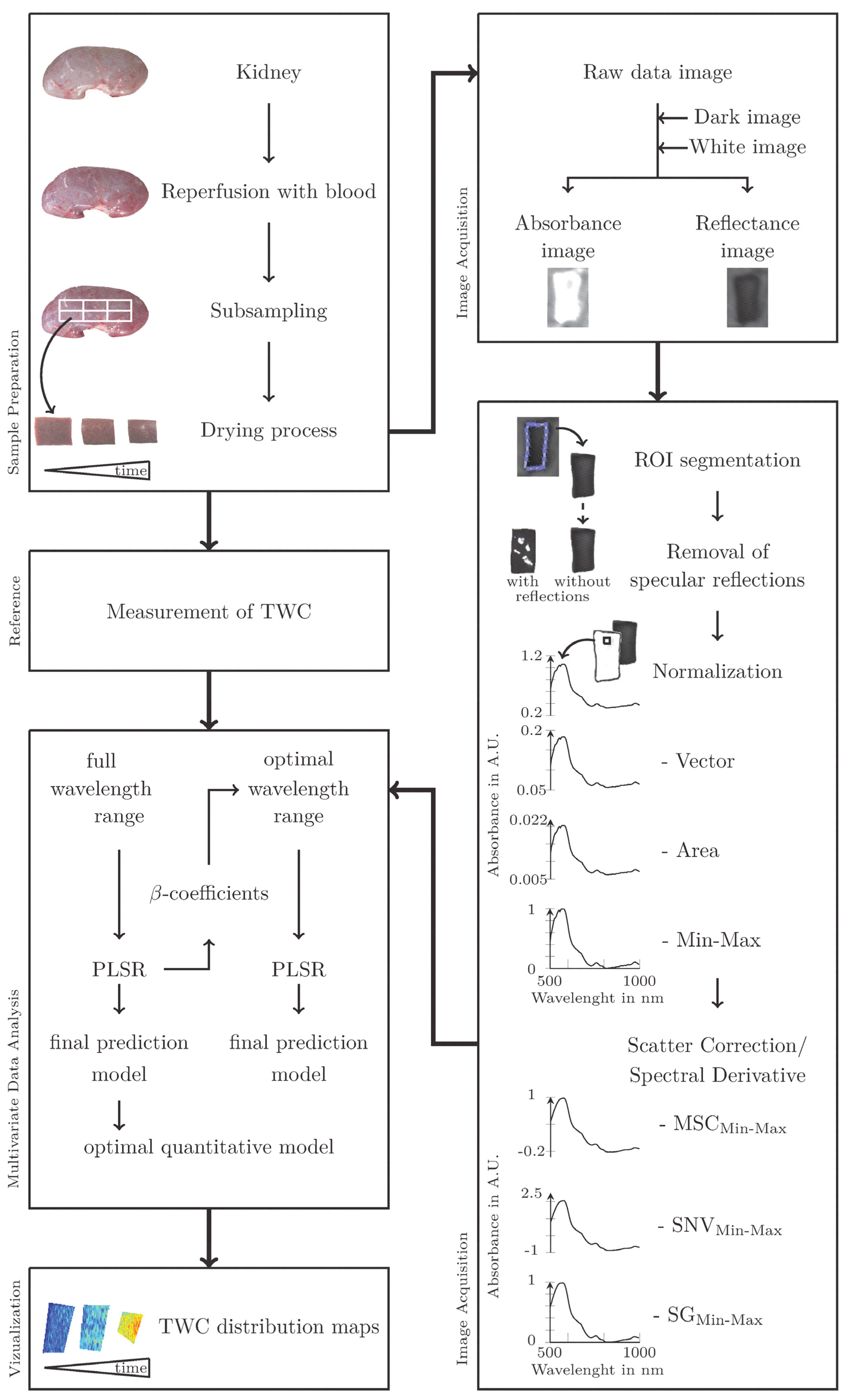 Algorithms 13 00289 g001
