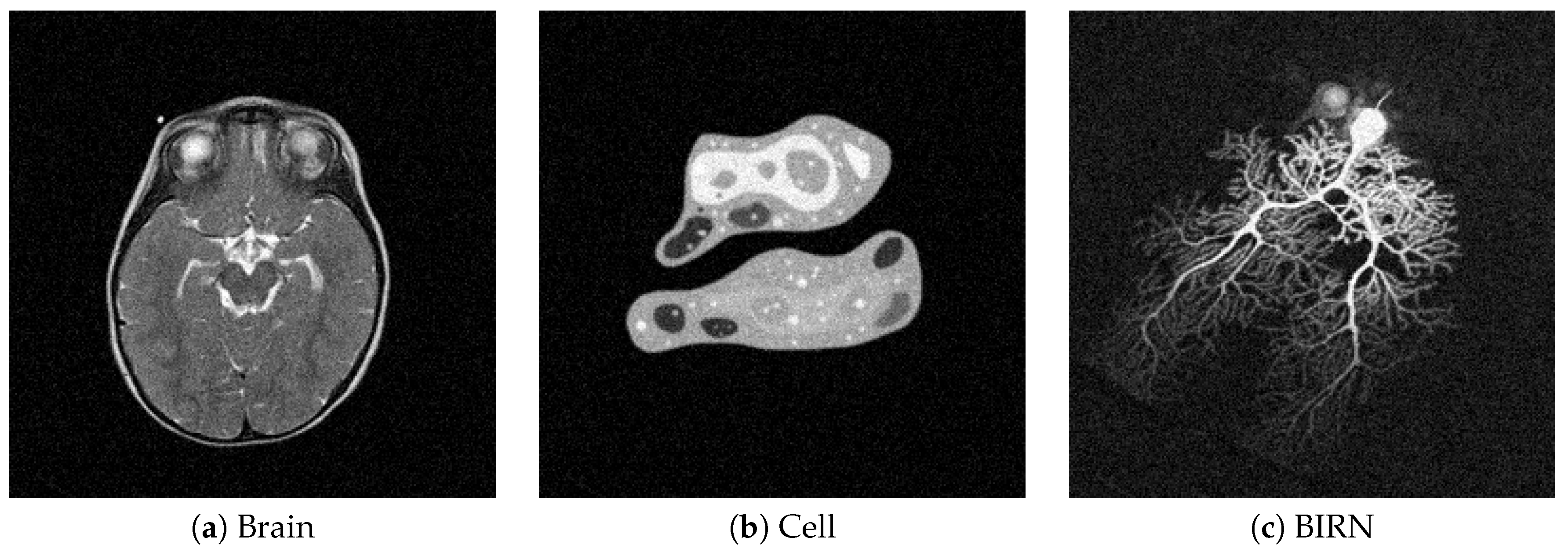 Algorithms 13 00296 g011