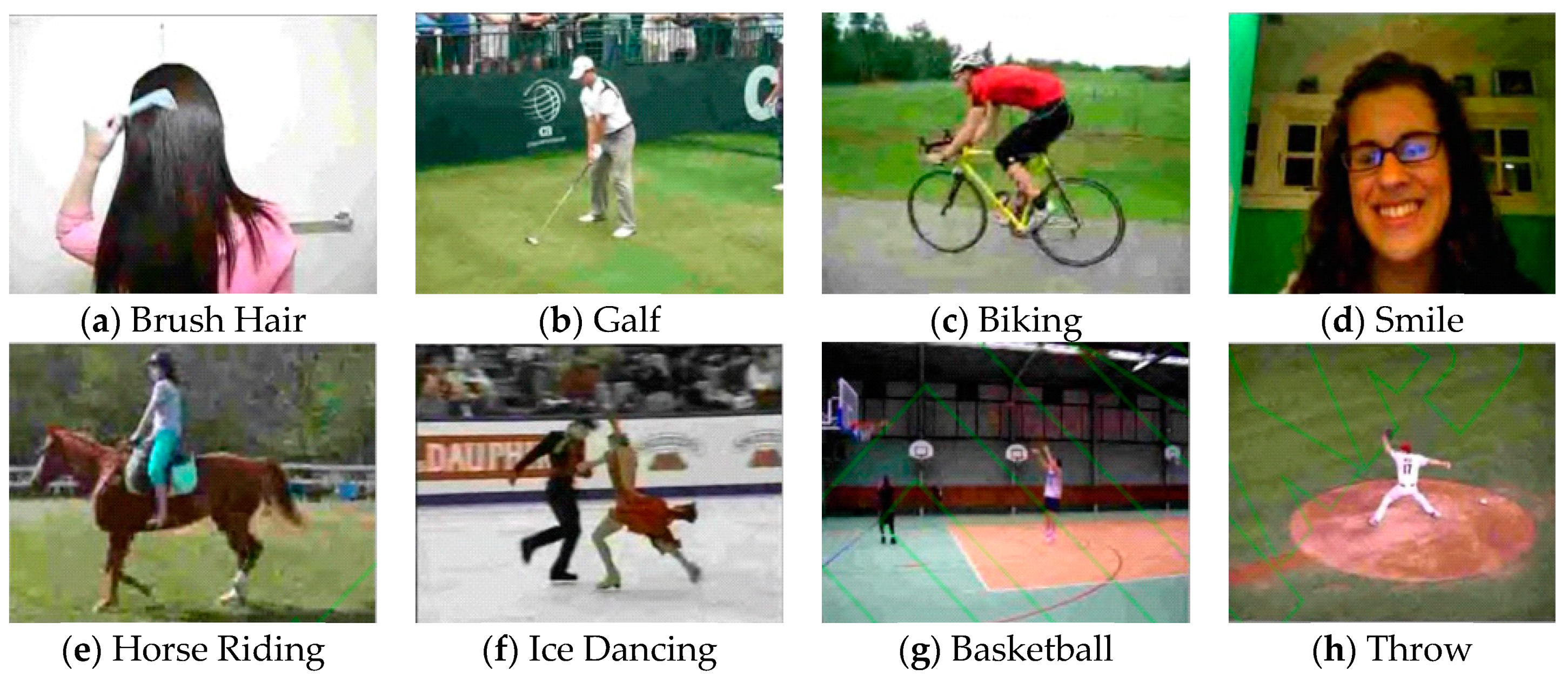 Algorithms 13 00301 g006