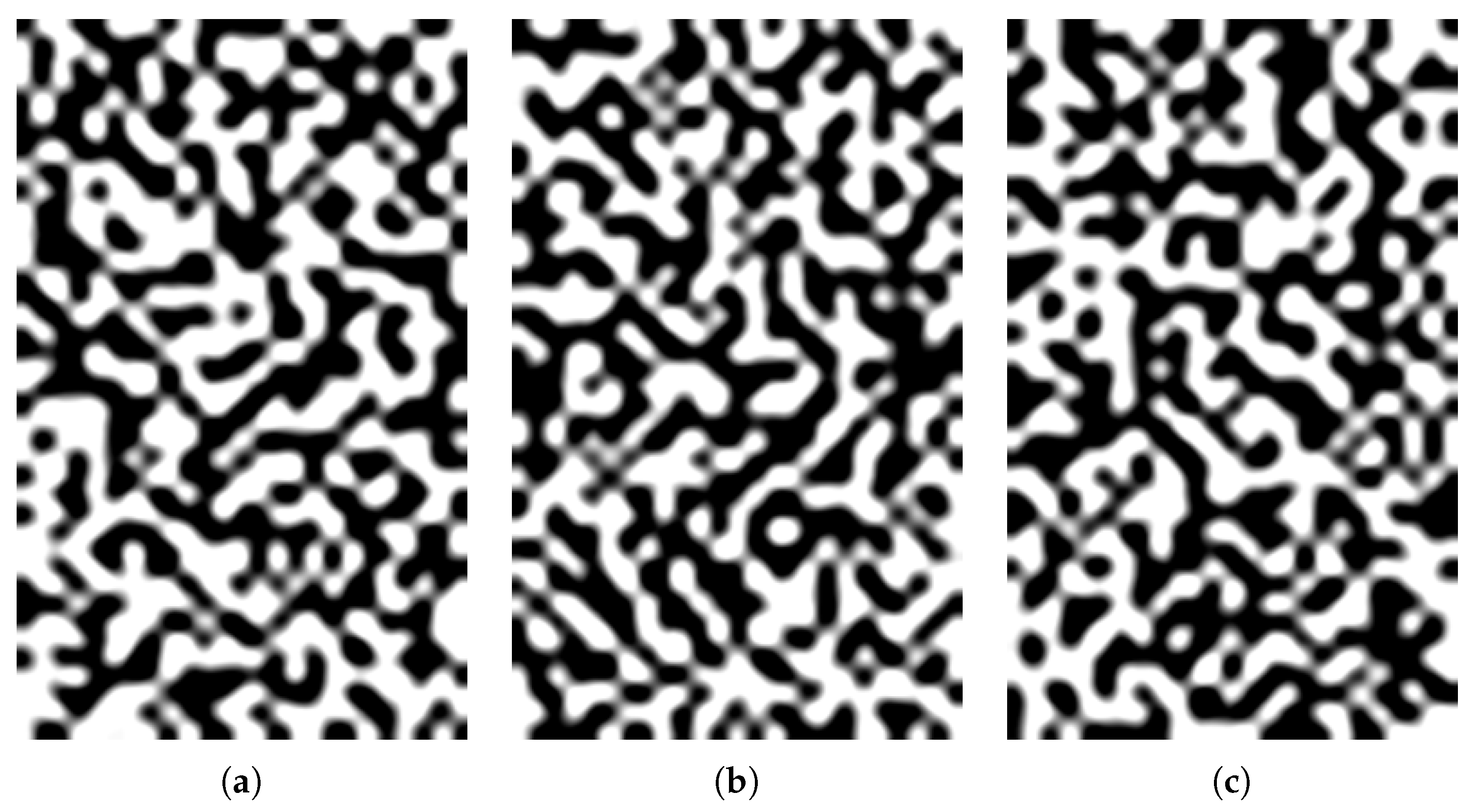 Algorithms 13 00307 g011