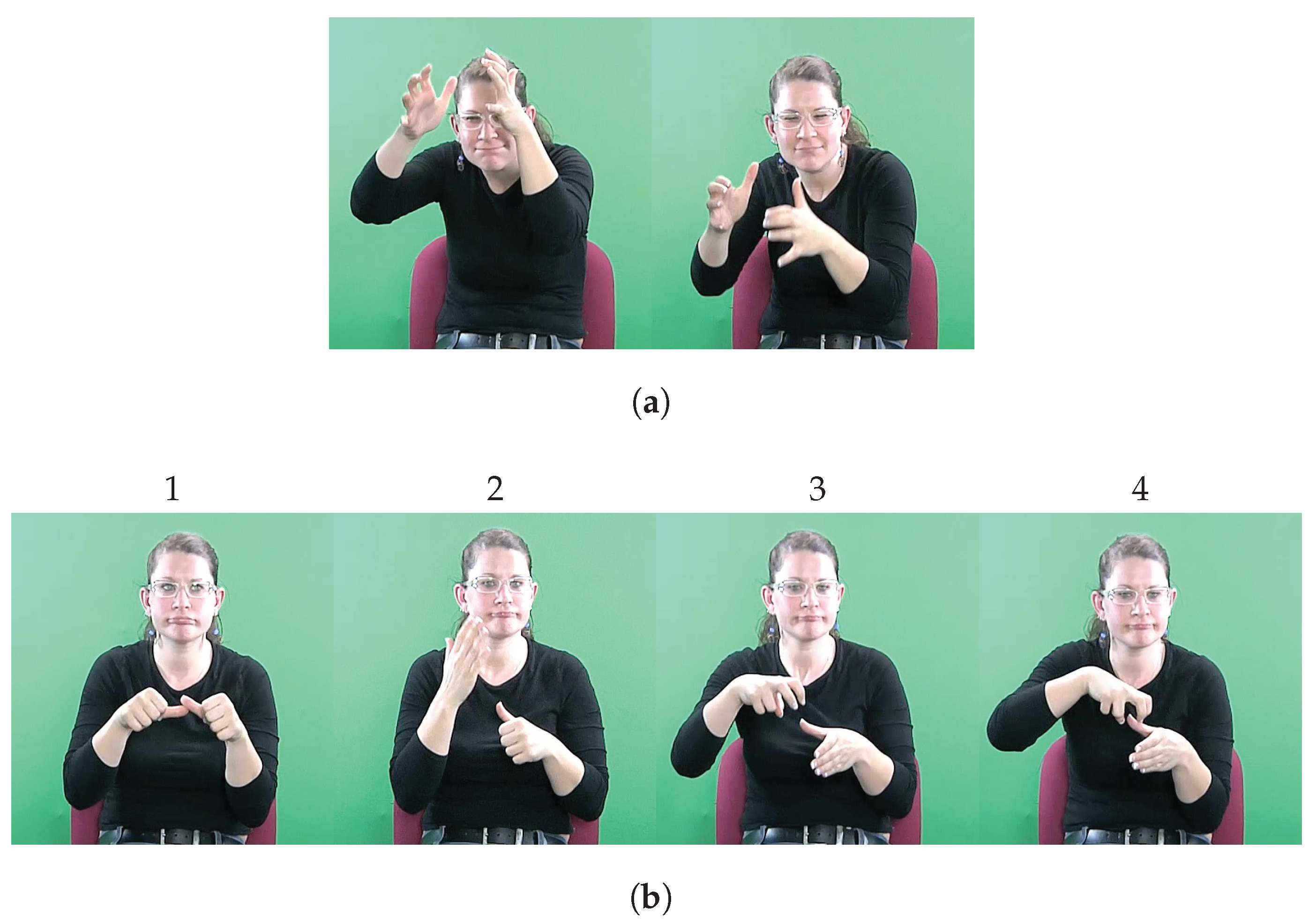 Algorithms 13 00310 g001