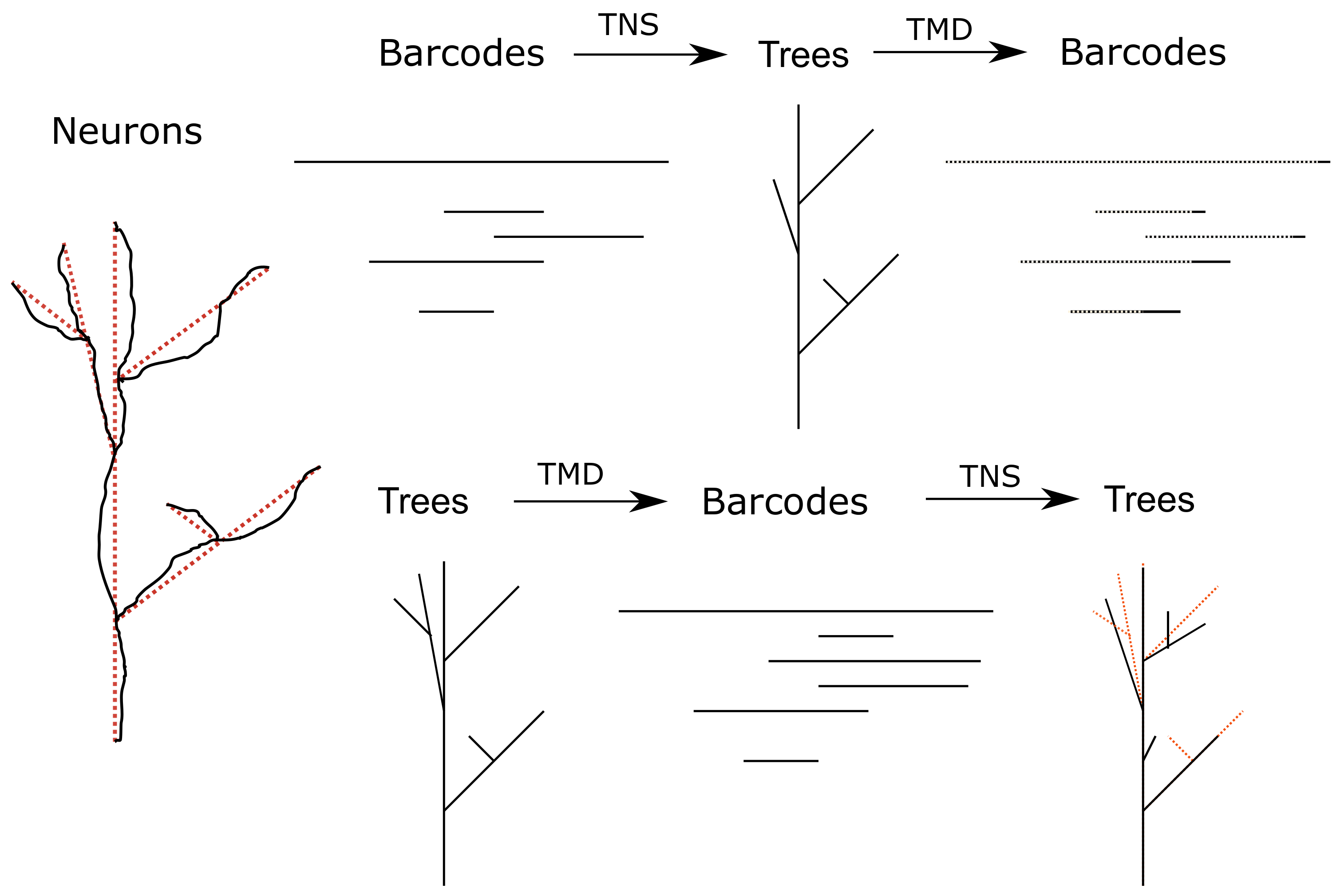 Algorithms 13 00335 g001