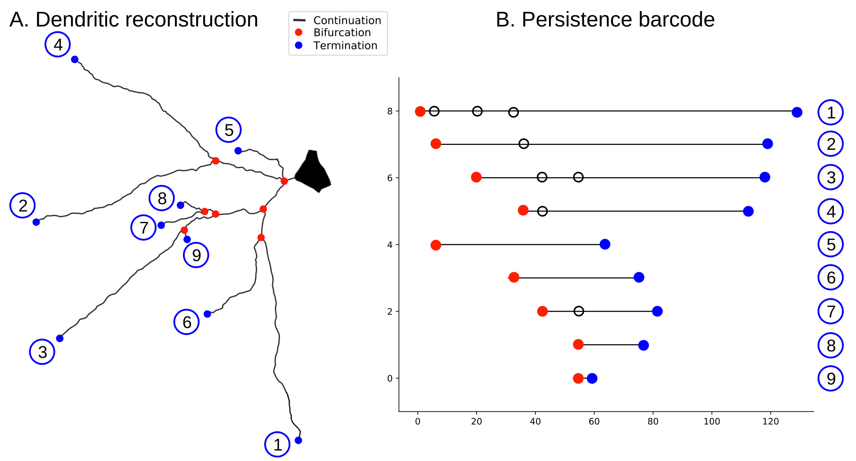 Algorithms 13 00335 g003