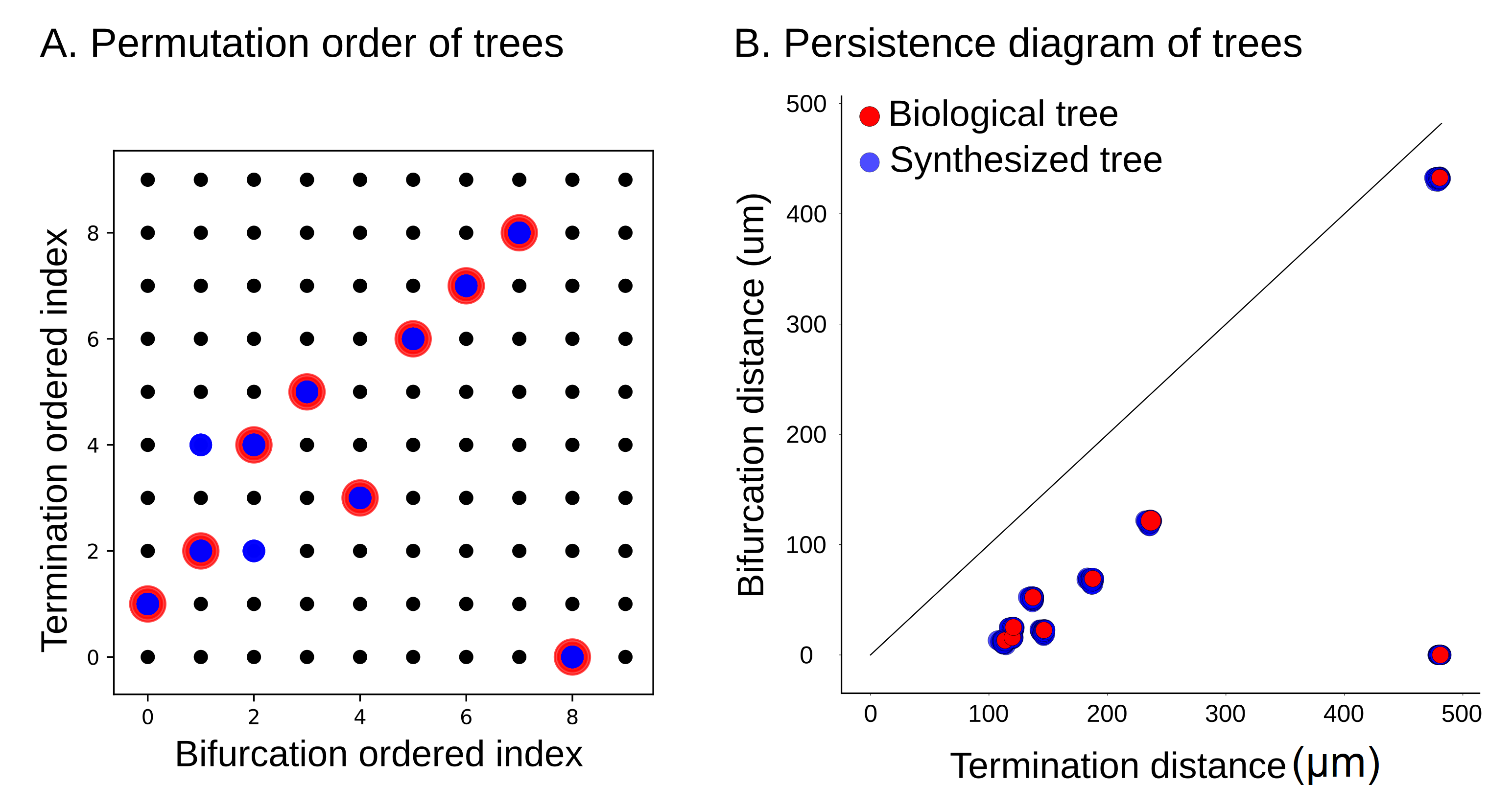 Algorithms 13 00335 g017