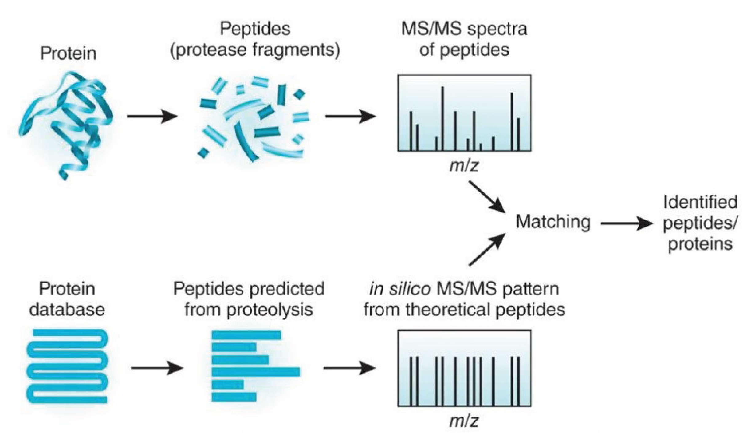 Algorithms 14 00059 g002 Algorithms 14 00059 g002