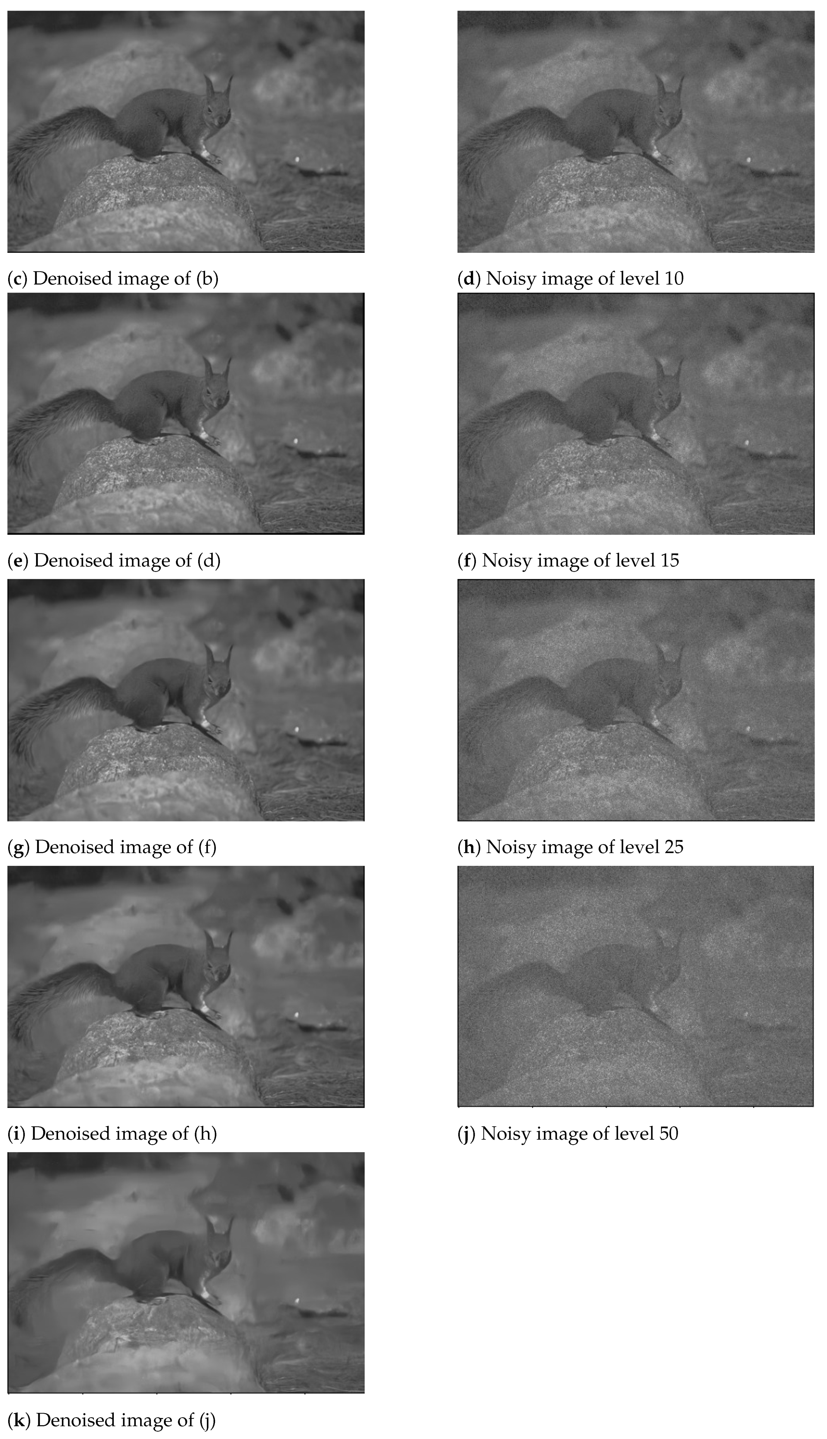 Algorithms 14 00109 g003b