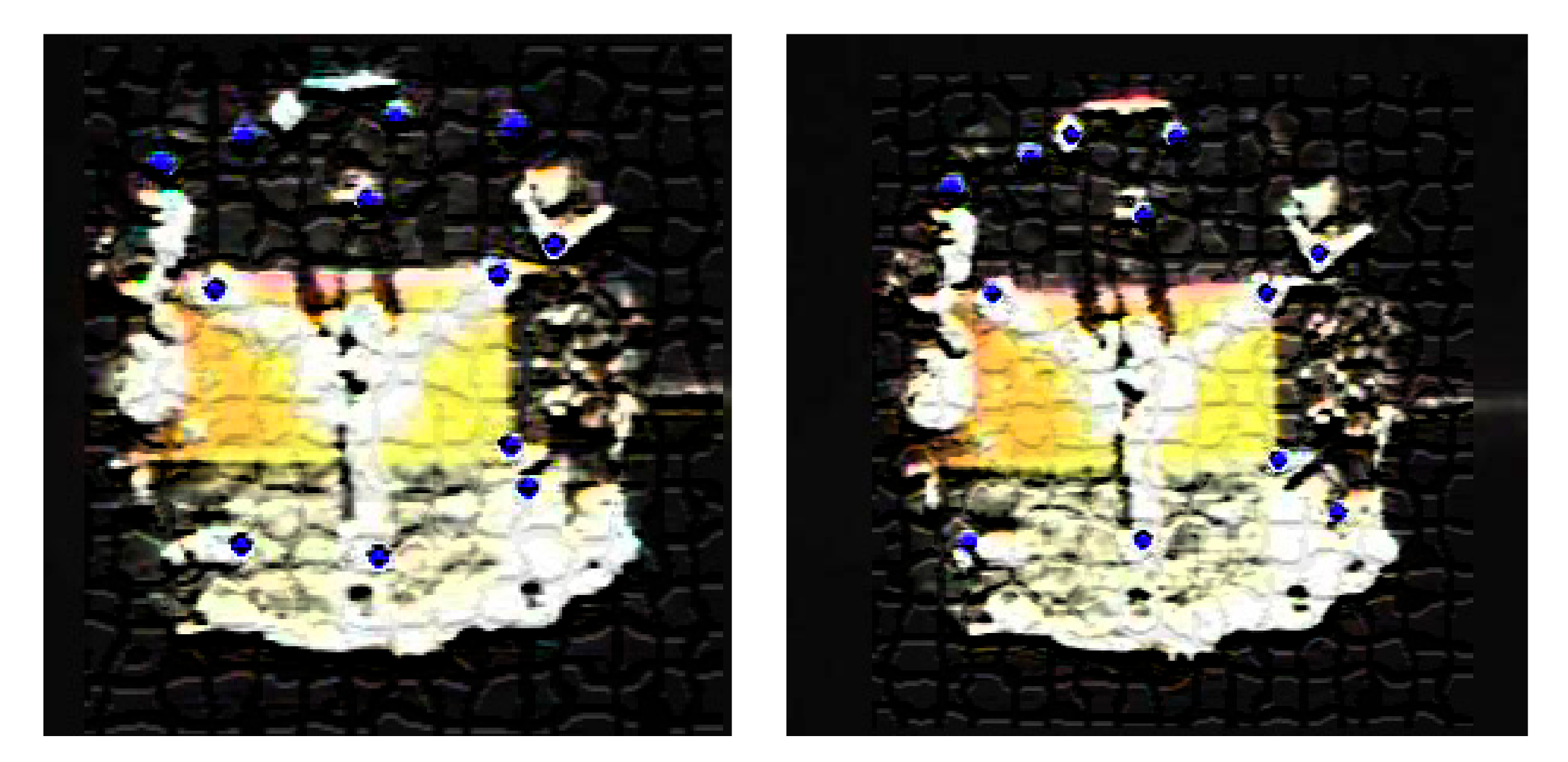 Algorithms 14 00188 g003 Algorithms 14 00188 g003