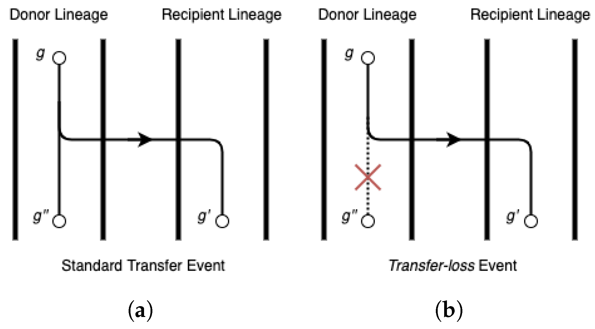 Algorithms 14 00231 g001