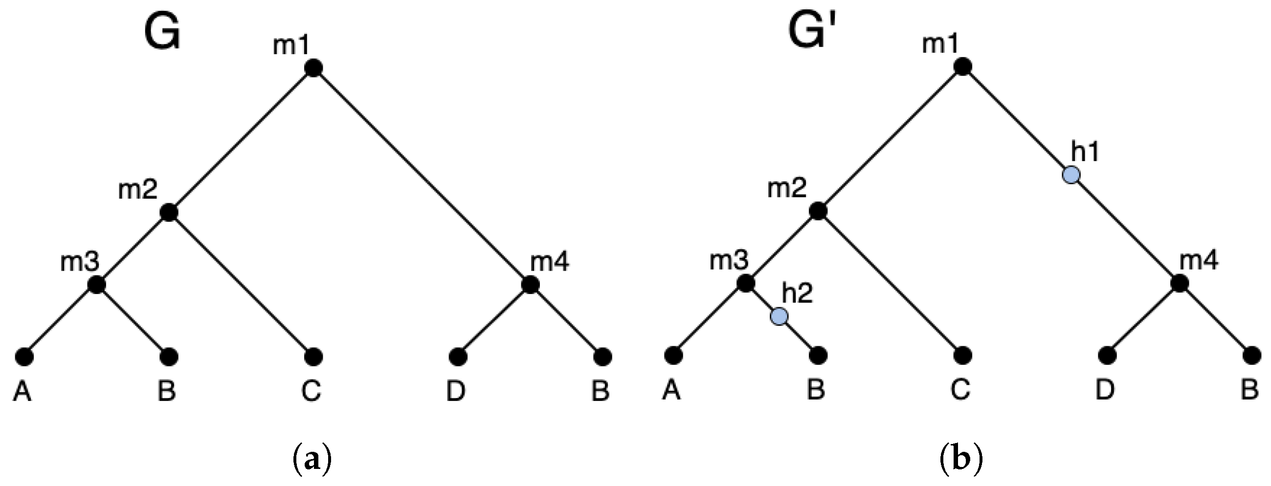 Algorithms 14 00231 g002