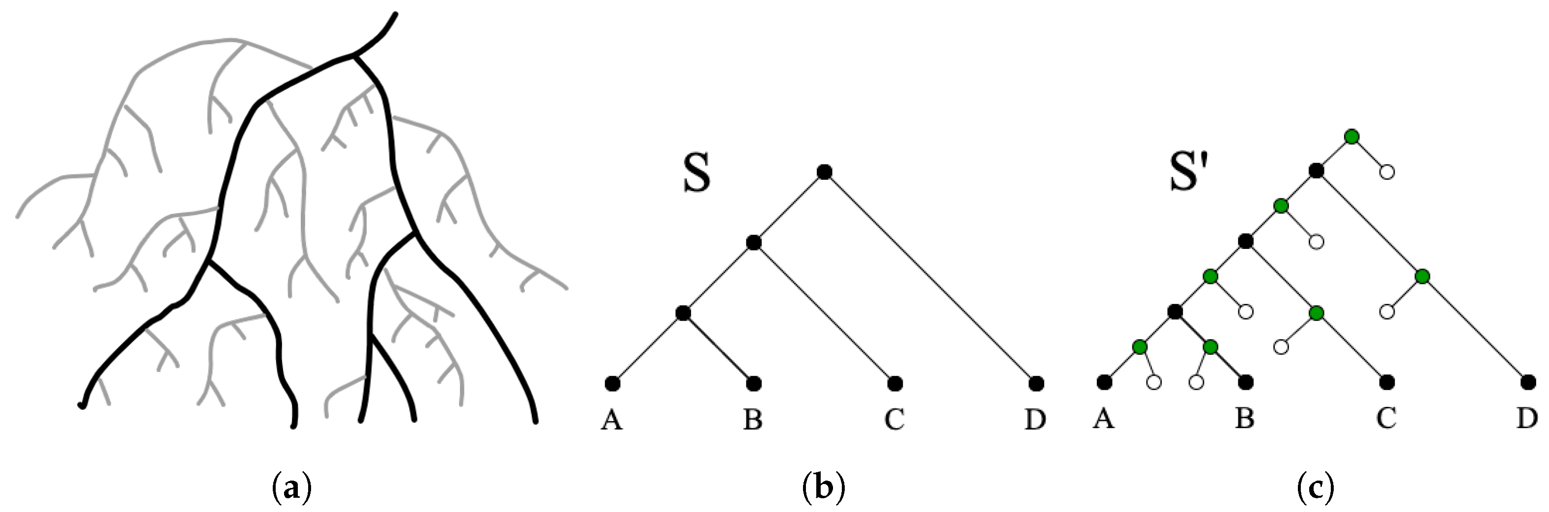 Algorithms 14 00231 g003