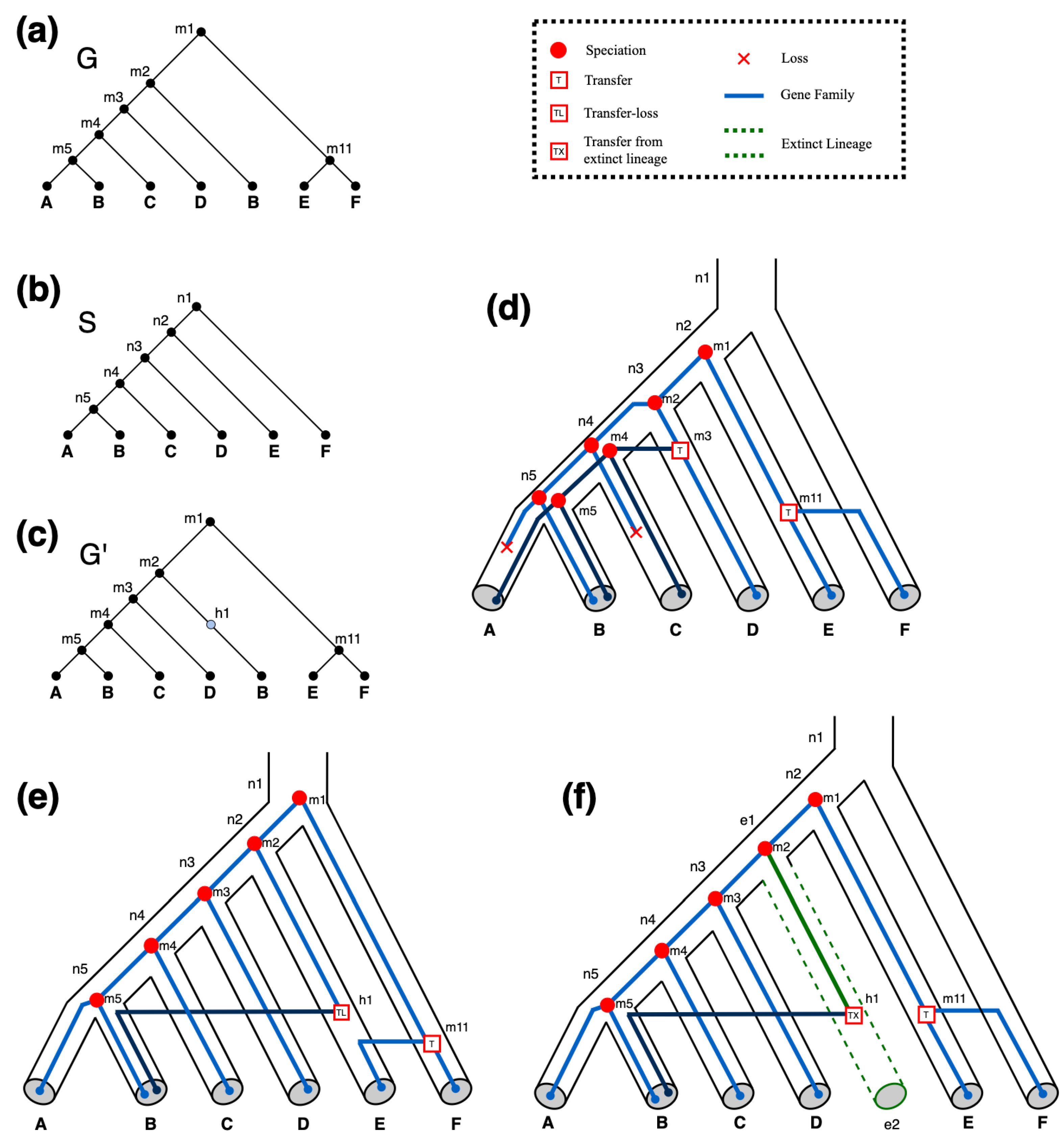 Algorithms 14 00231 g004