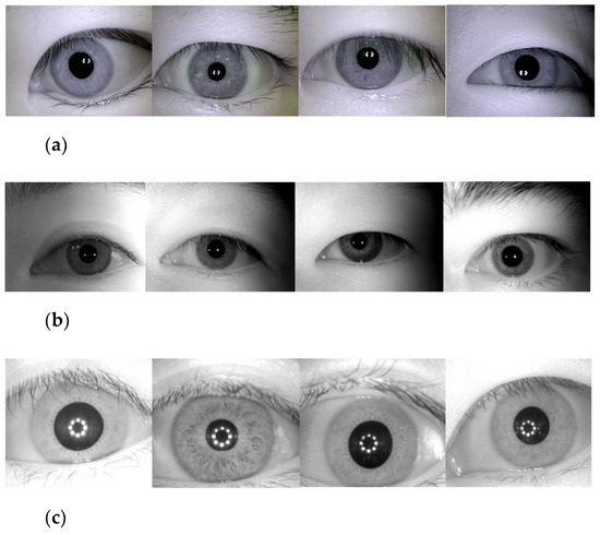 Algorithms 14 00261 g007a 550