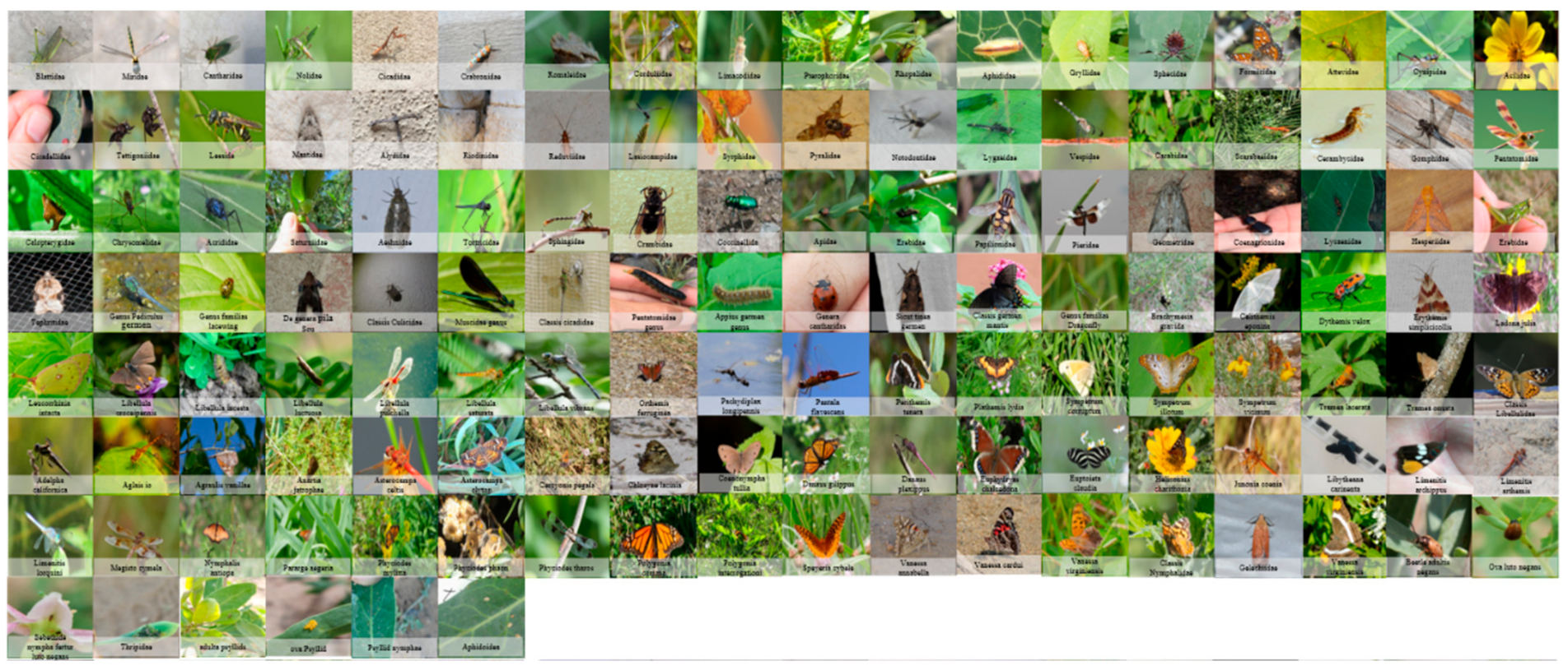 Algorithms 14 00290 g002