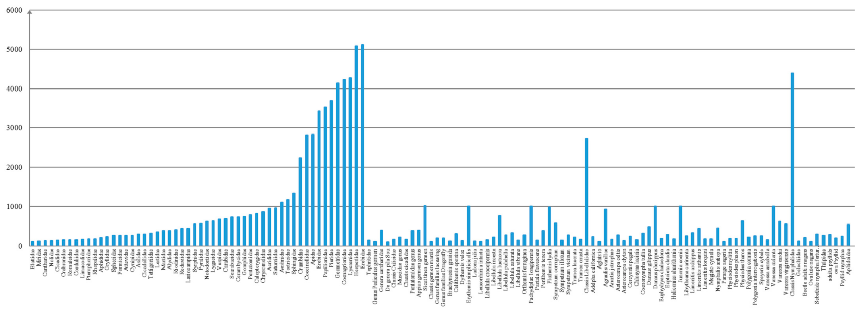 Algorithms 14 00290 g003