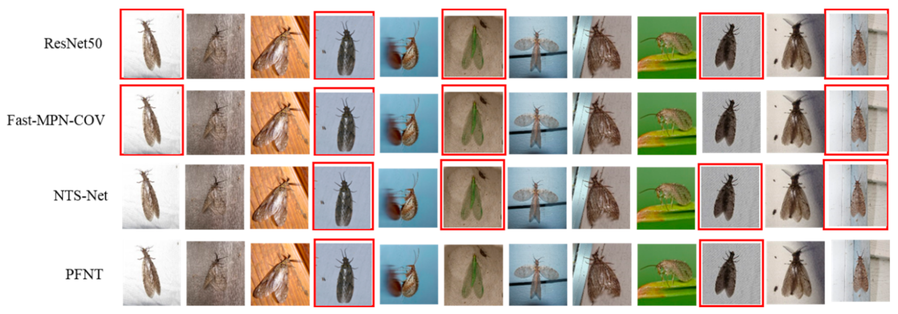 Algorithms 14 00290 g009