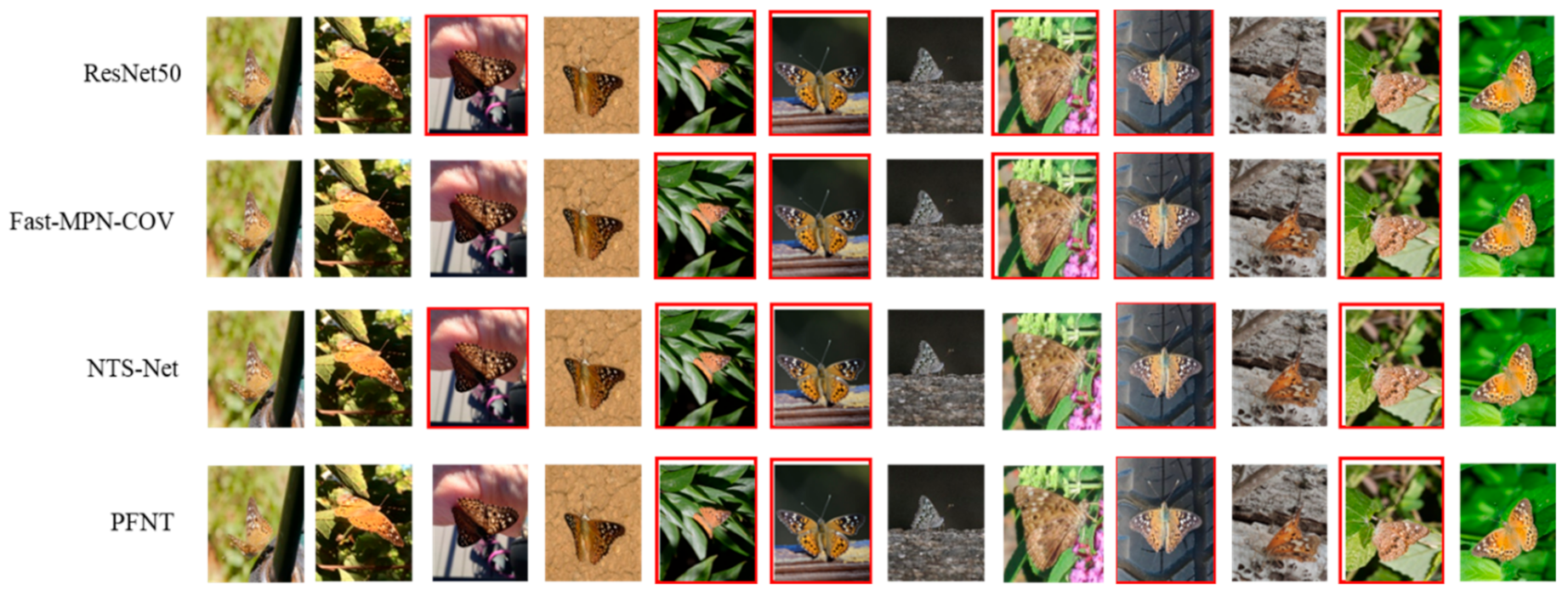 Algorithms 14 00290 g010