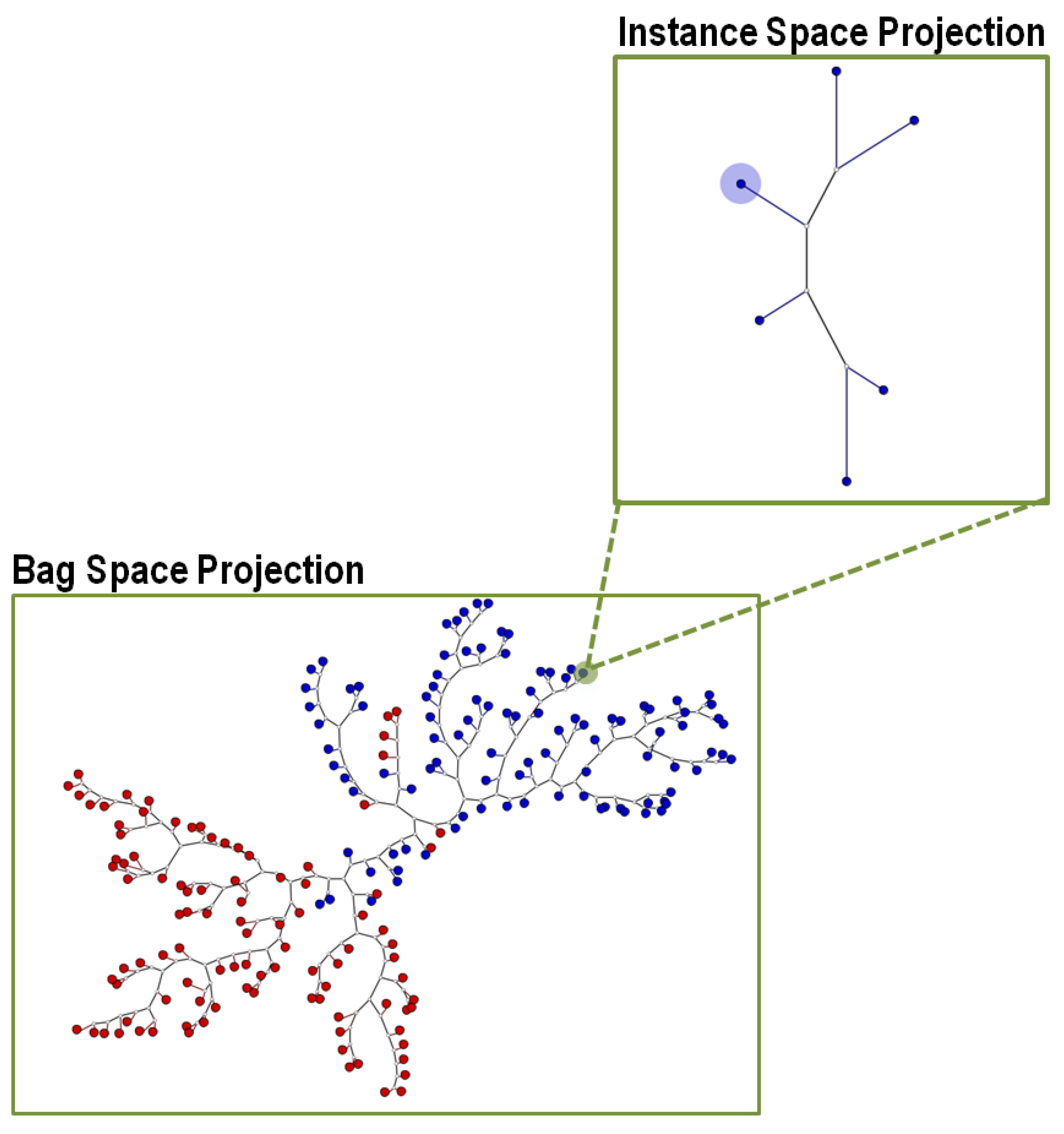 Algorithms 14 00344 g001