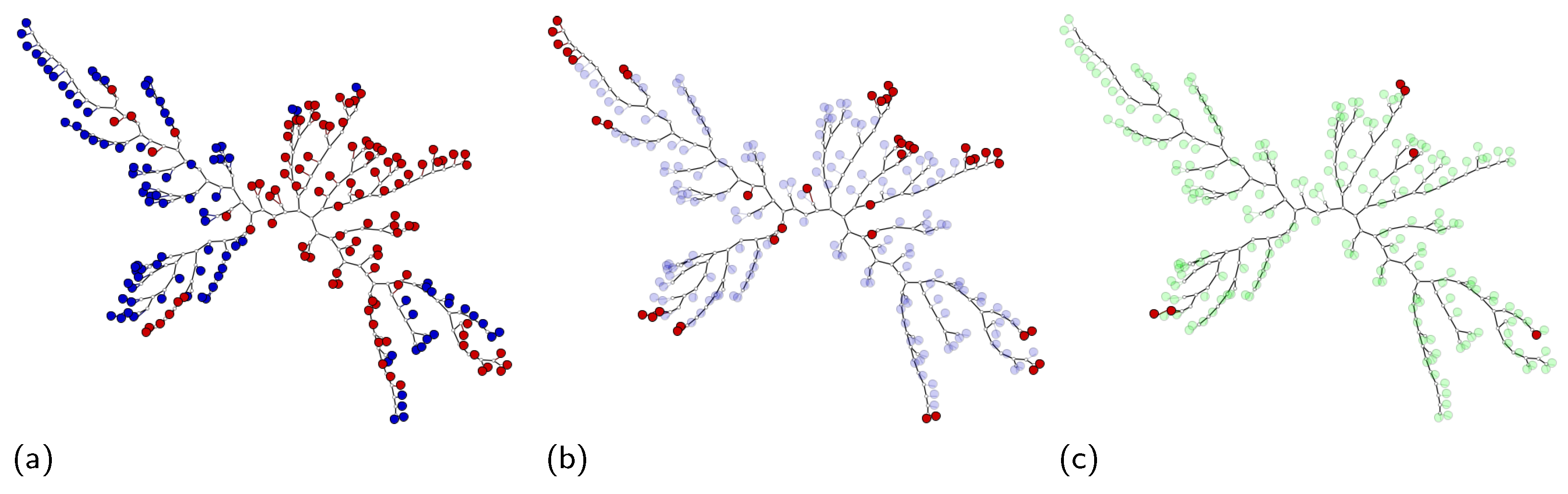 Algorithms 14 00344 g005