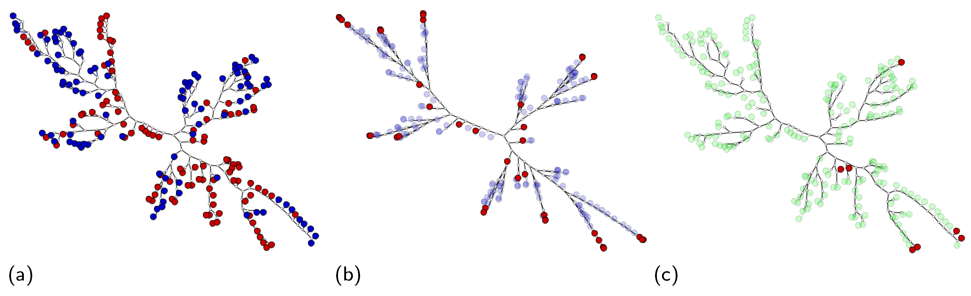 Algorithms 14 00344 g006