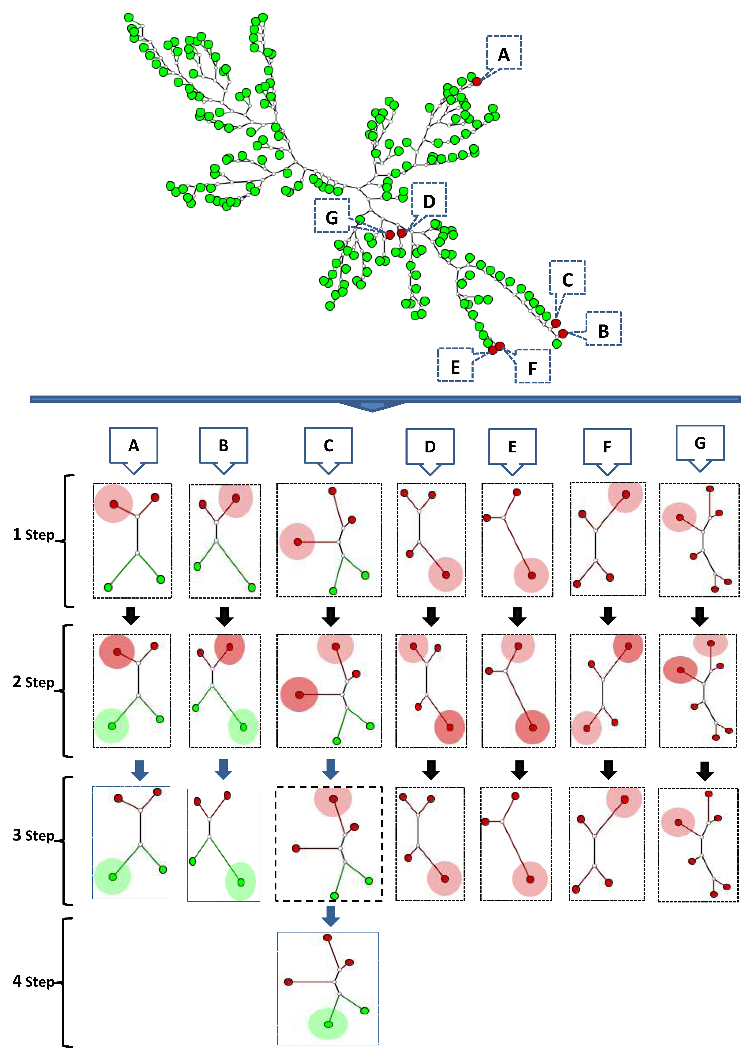 Algorithms 14 00344 g007