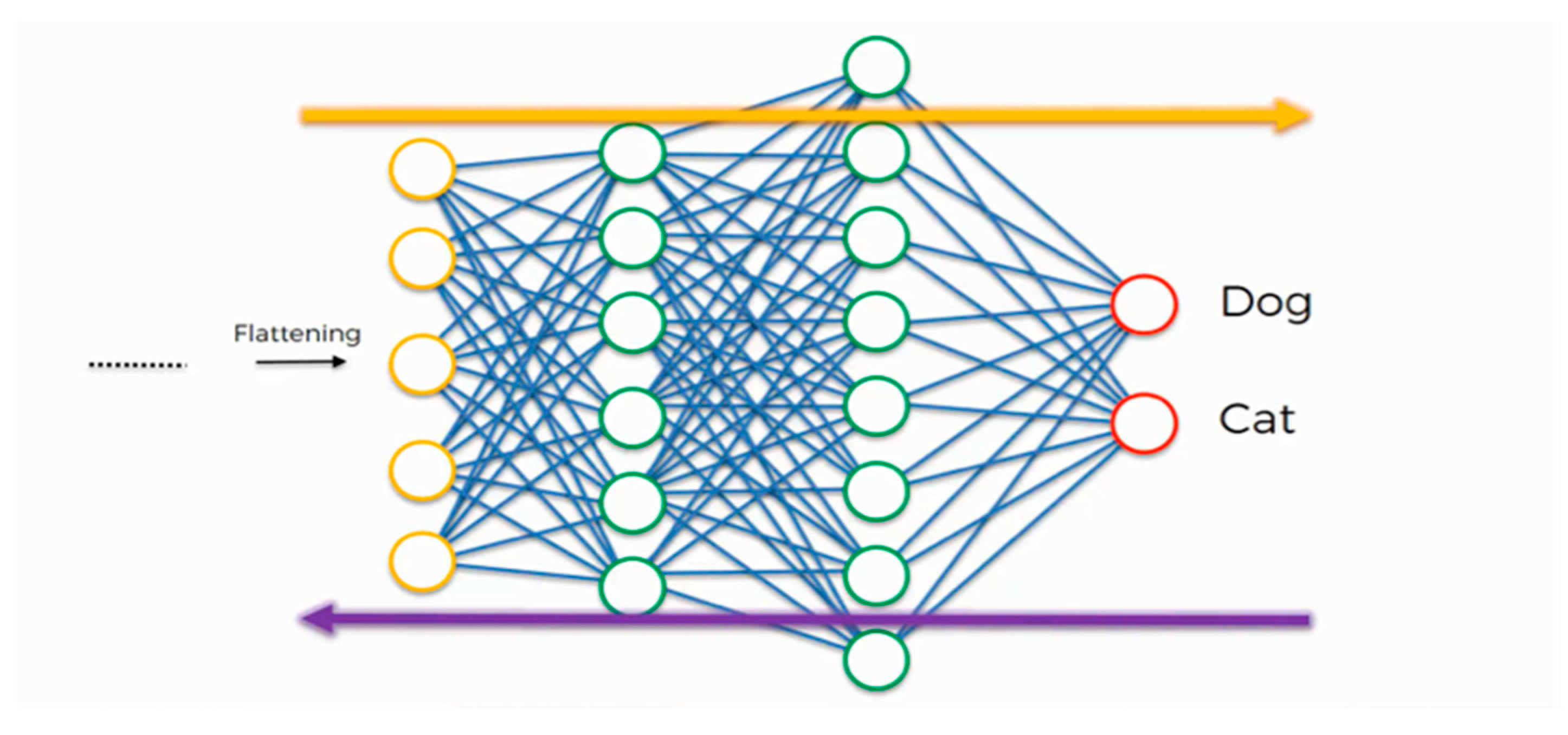 Algorithms 15 00071 g020