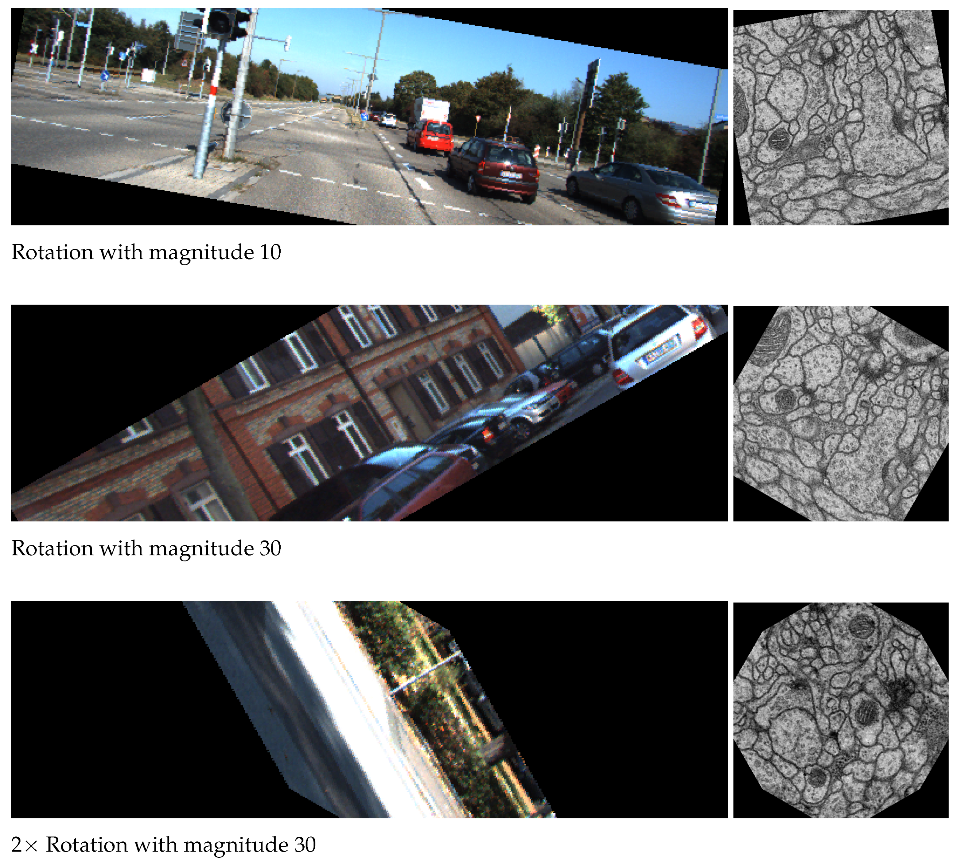 Algorithms 15 00165 g010