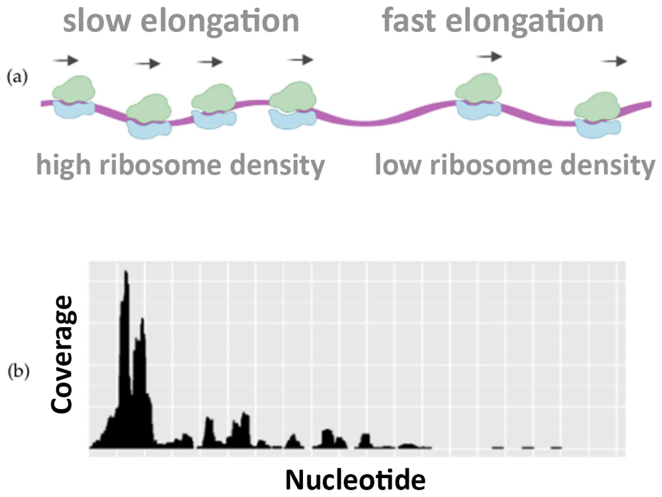 Algorithms 15 00274 g001