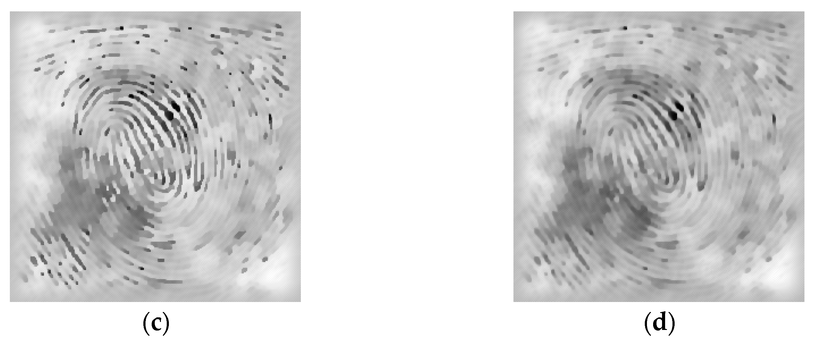 Algorithms 15 00288 g001b Algorithms 15 00288 g001b
