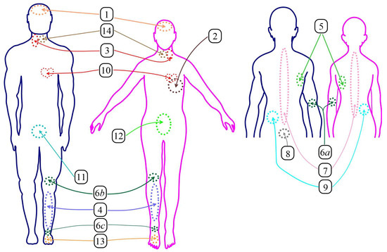 Algorithms 15 00292 g003