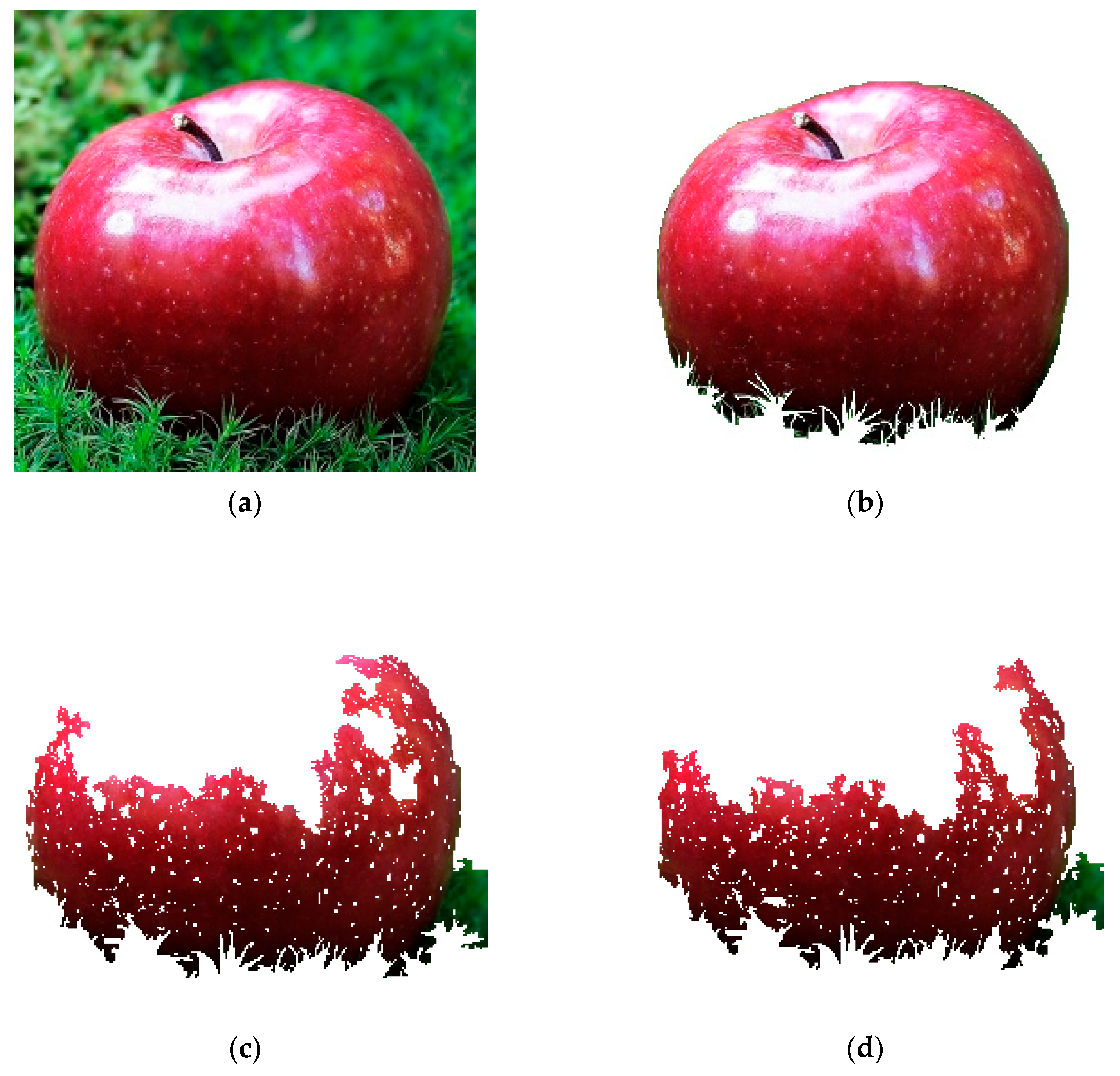 Algorithms 15 00312 g002