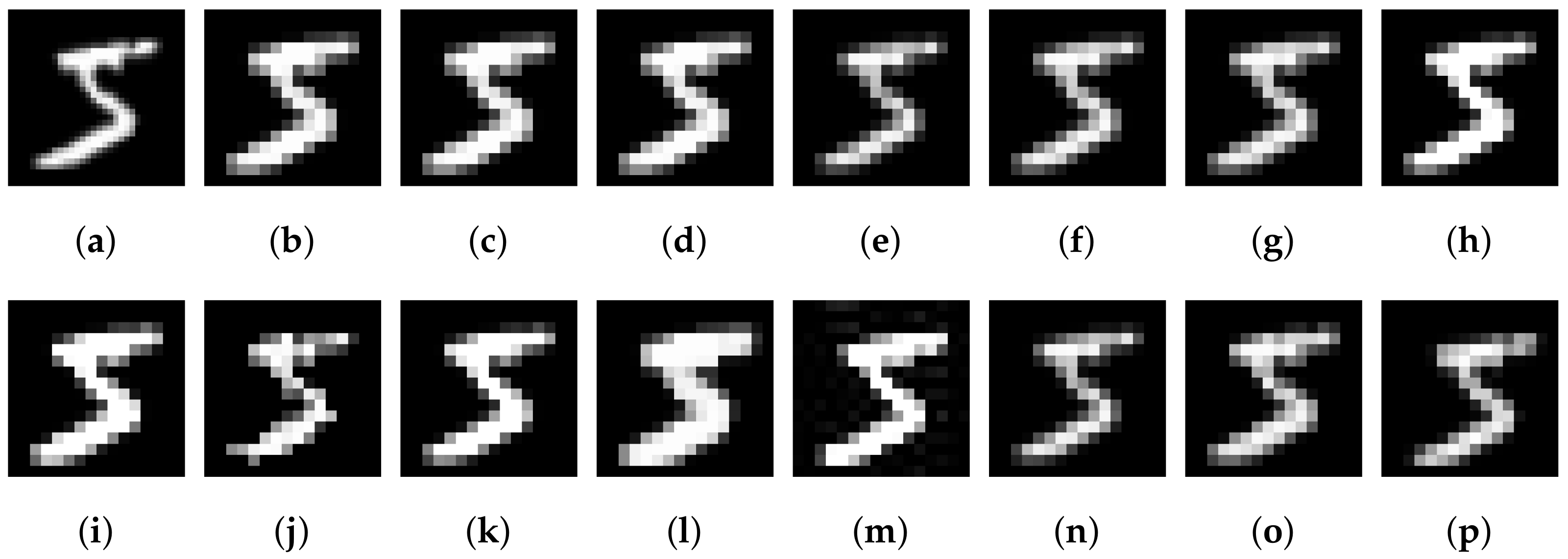 Algorithms 15 00391 g007