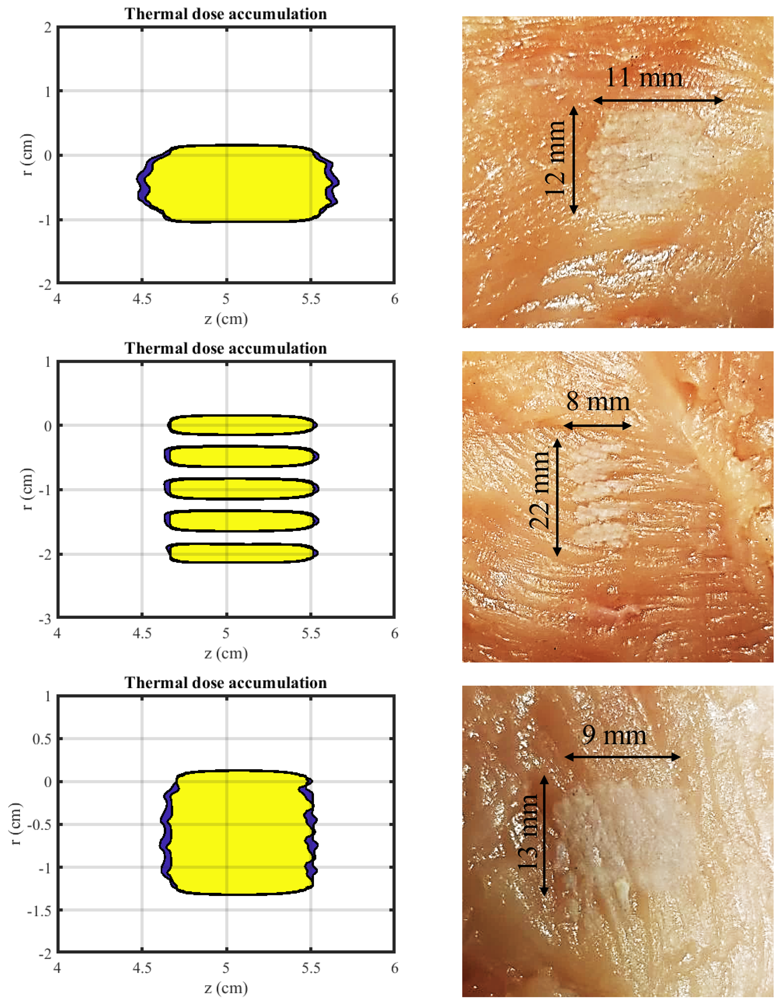 Algorithms 15 00399 g015