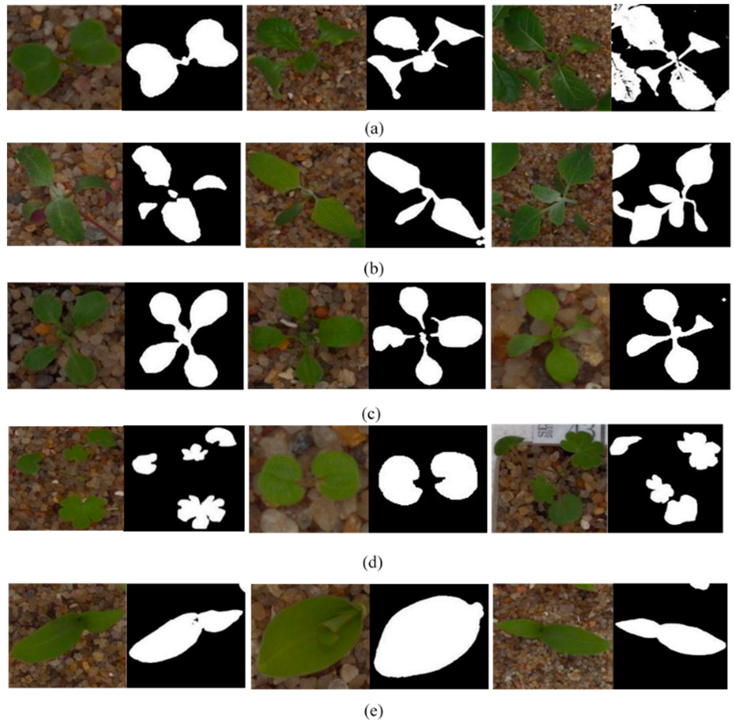 Algorithms 15 00401 g001