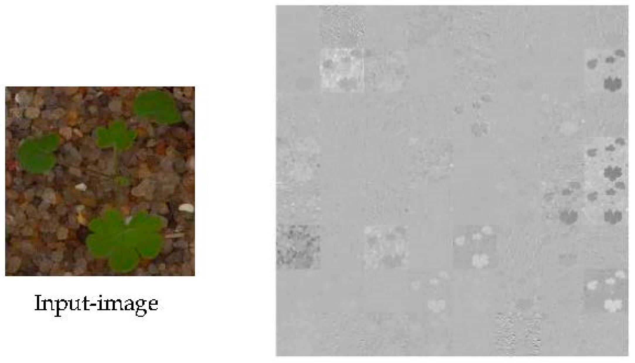 Algorithms 15 00401 g004