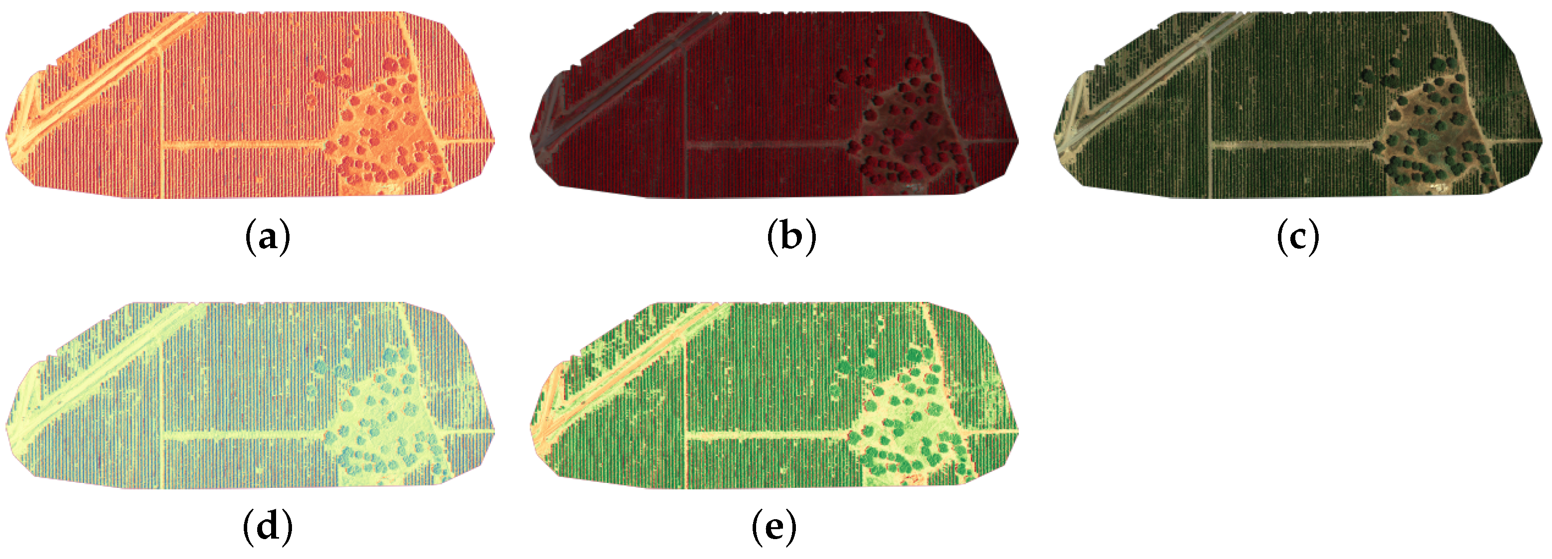 Algorithms 15 00440 g001 Algorithms 15 00440 g001