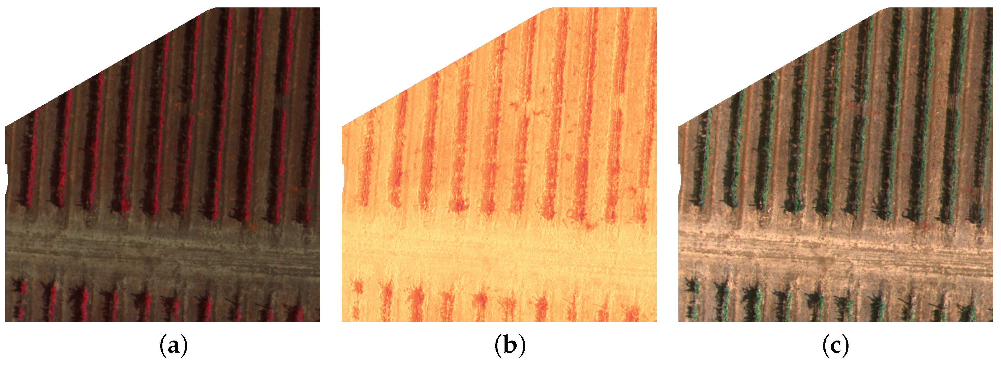 Algorithms 15 00440 g003 Algorithms 15 00440 g003