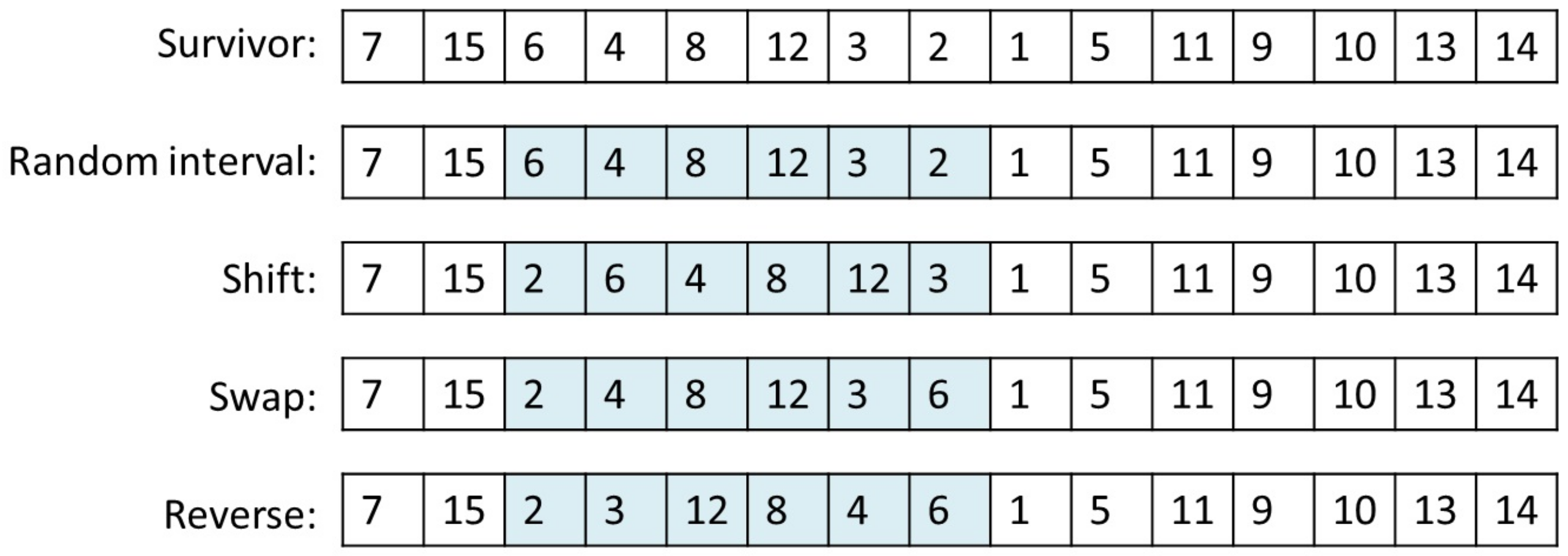 Algorithms 16 00044 g006