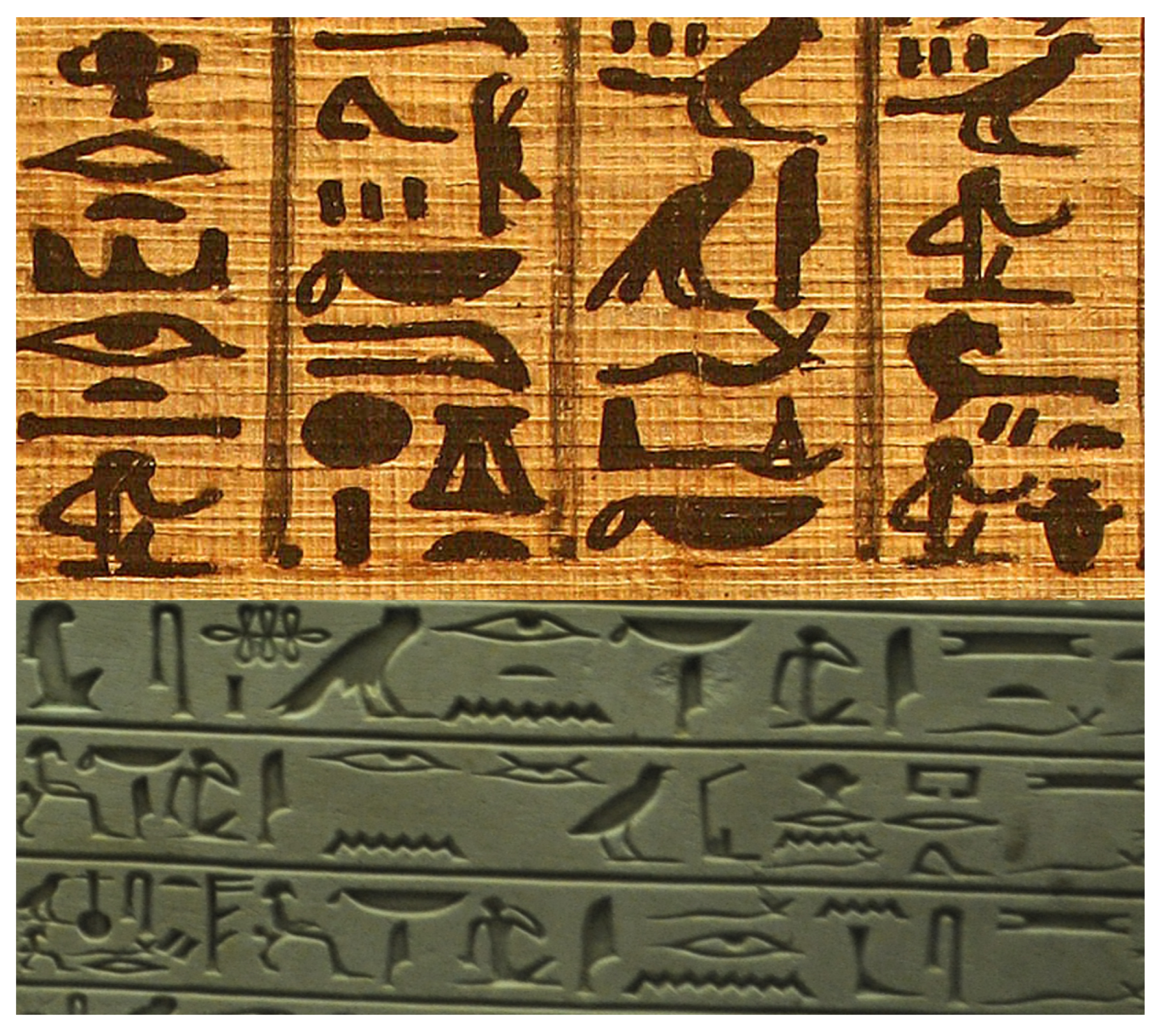 Algorithms 16 00079 g002