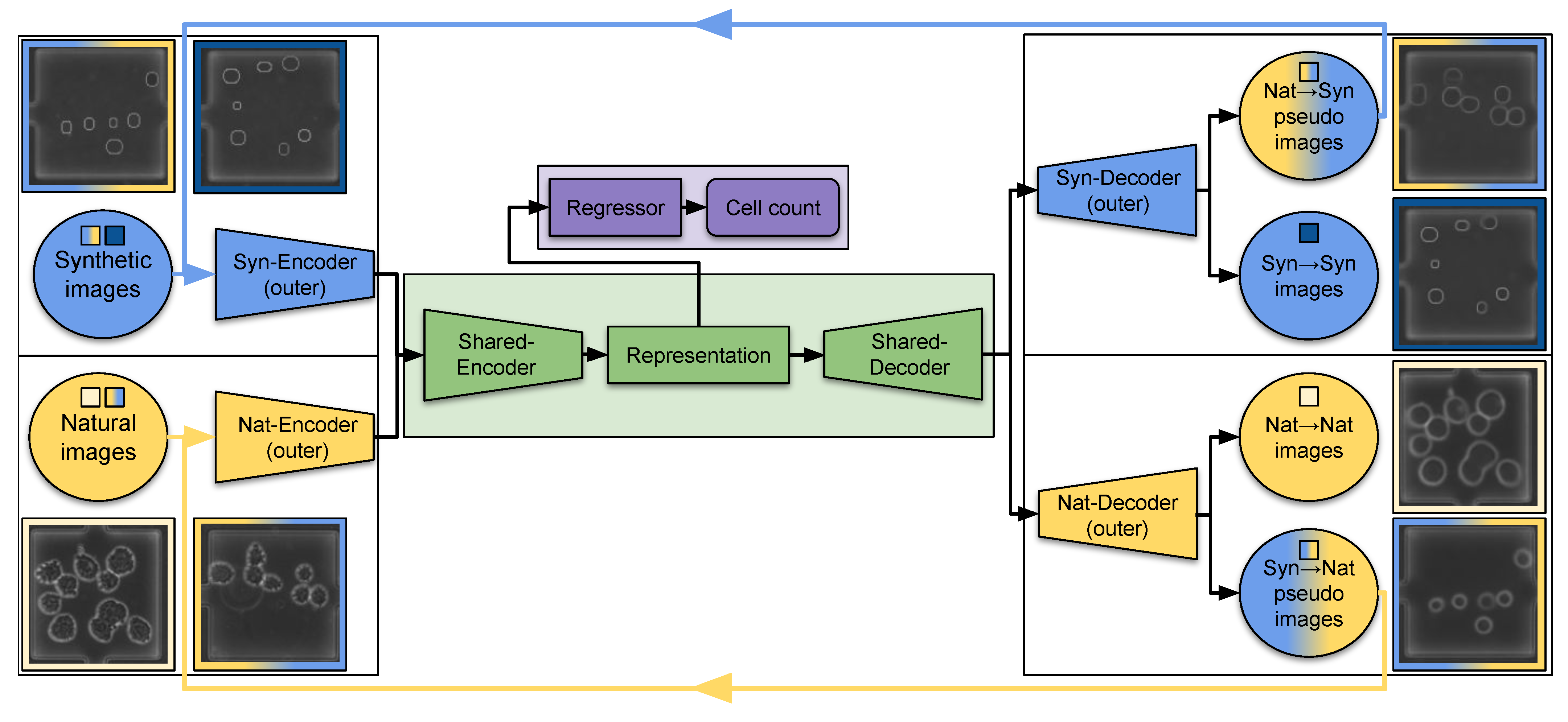 Algorithms 16 00205 g004