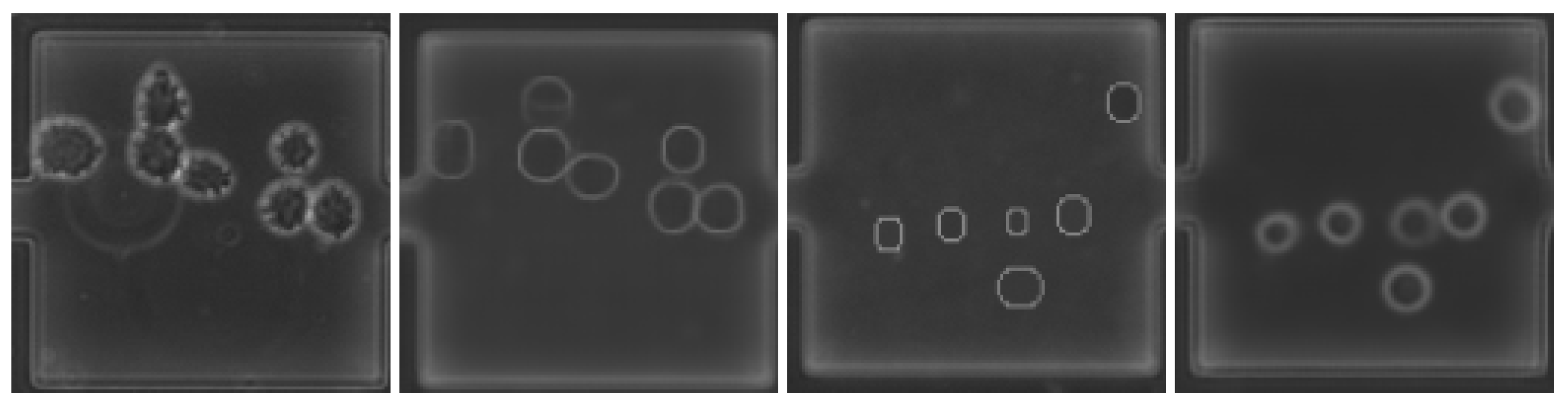 Algorithms 16 00205 g006