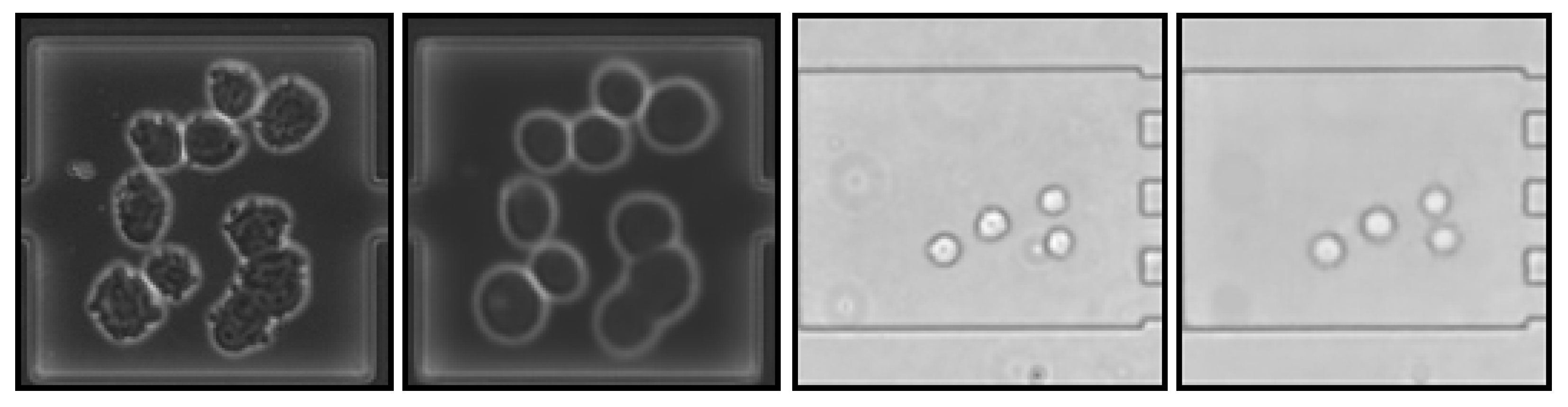 Algorithms 16 00205 g007