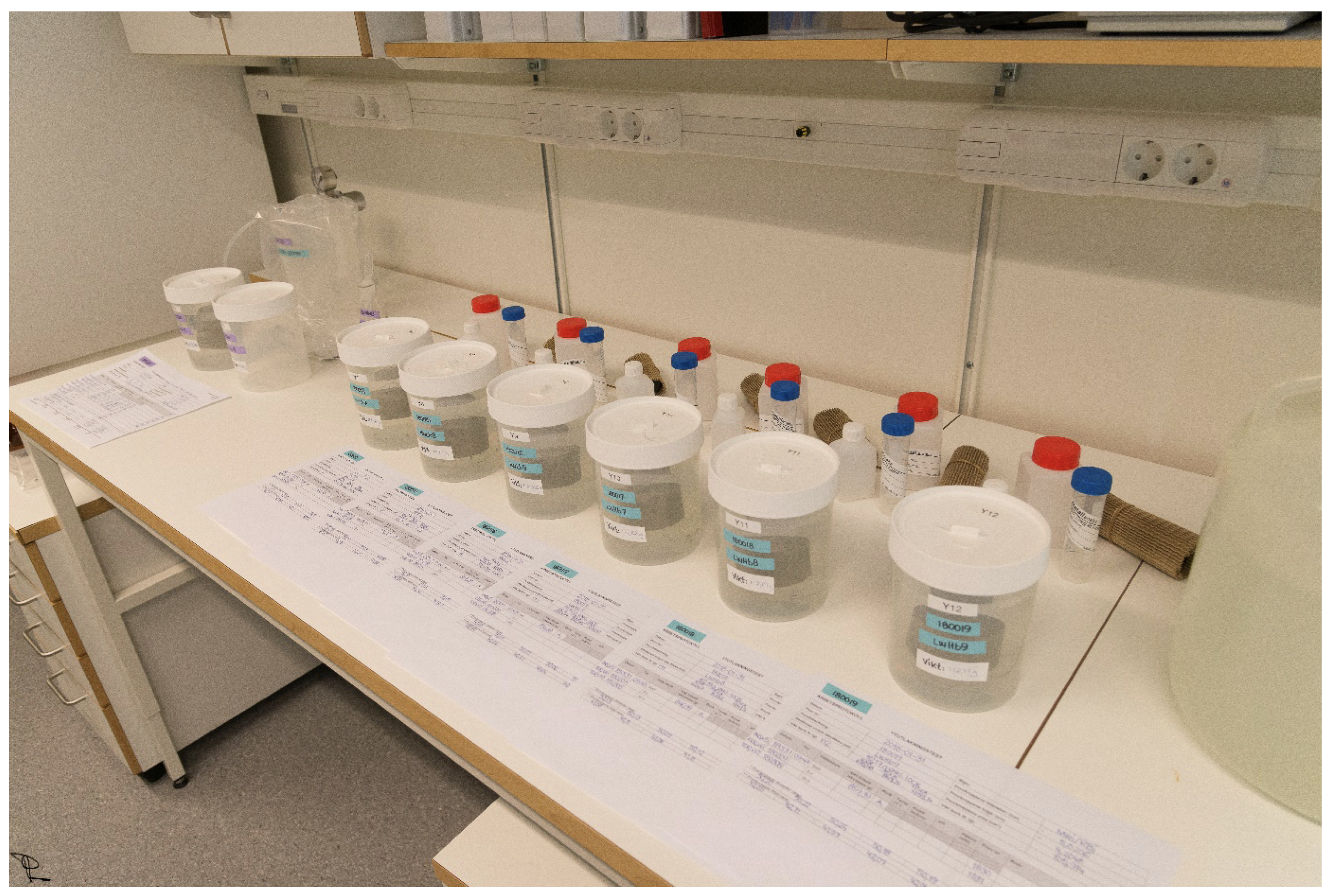 Algorithms 16 00303 g002