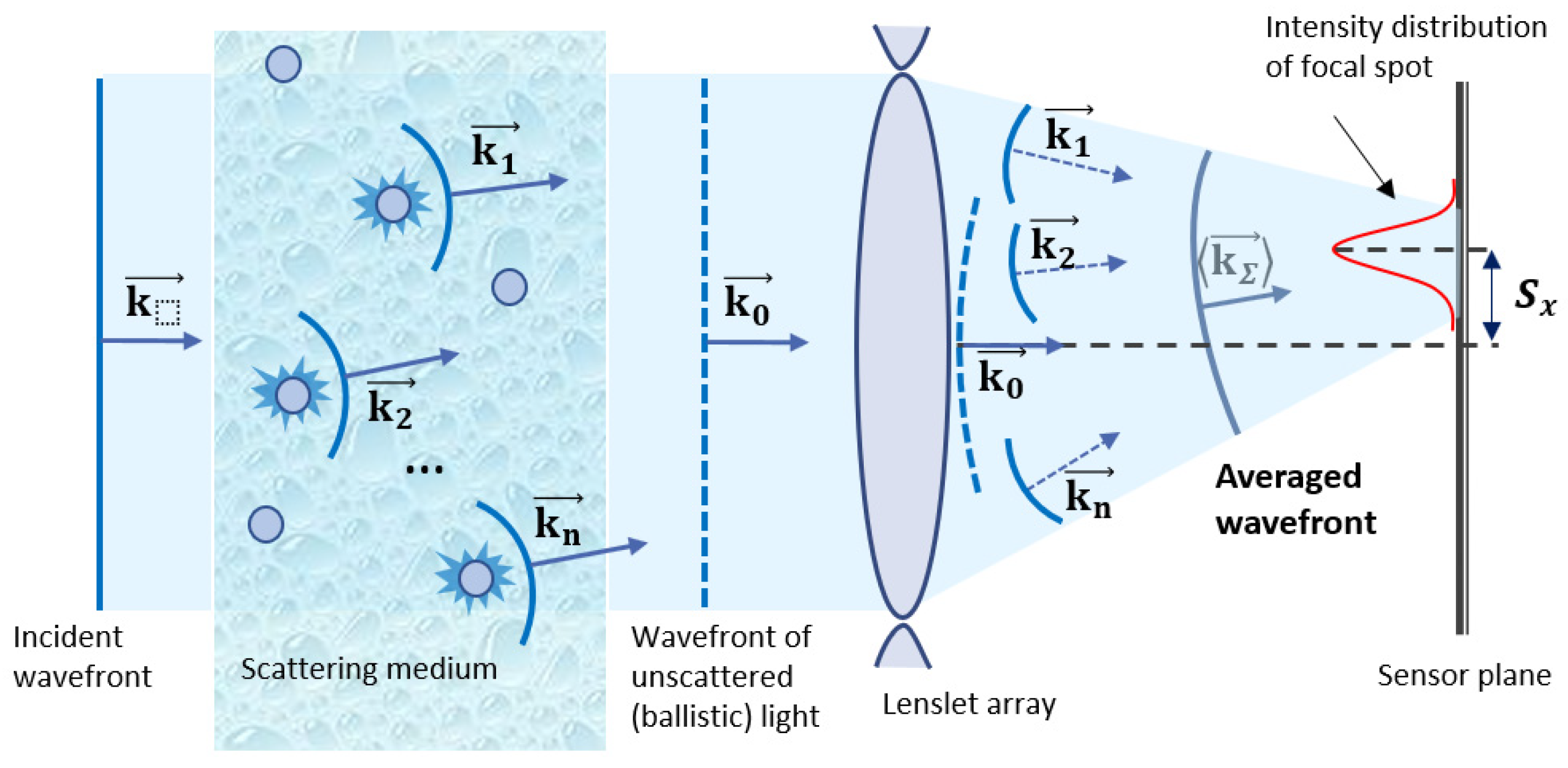 Algorithms 16 00337 g005 Algorithms 16 00337 g005