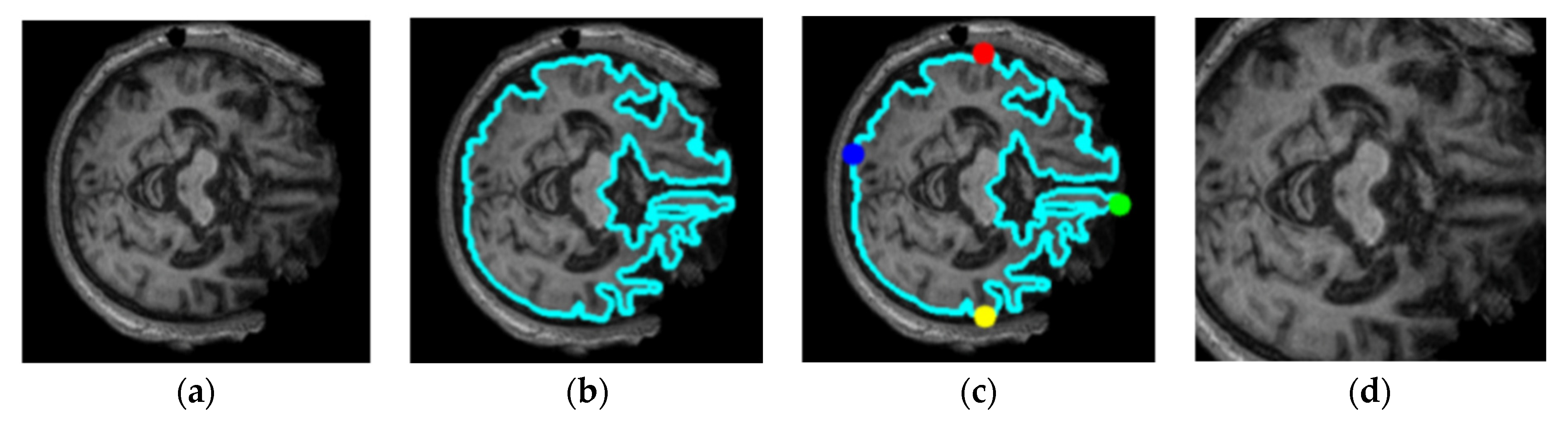Algorithms 16 00377 g003