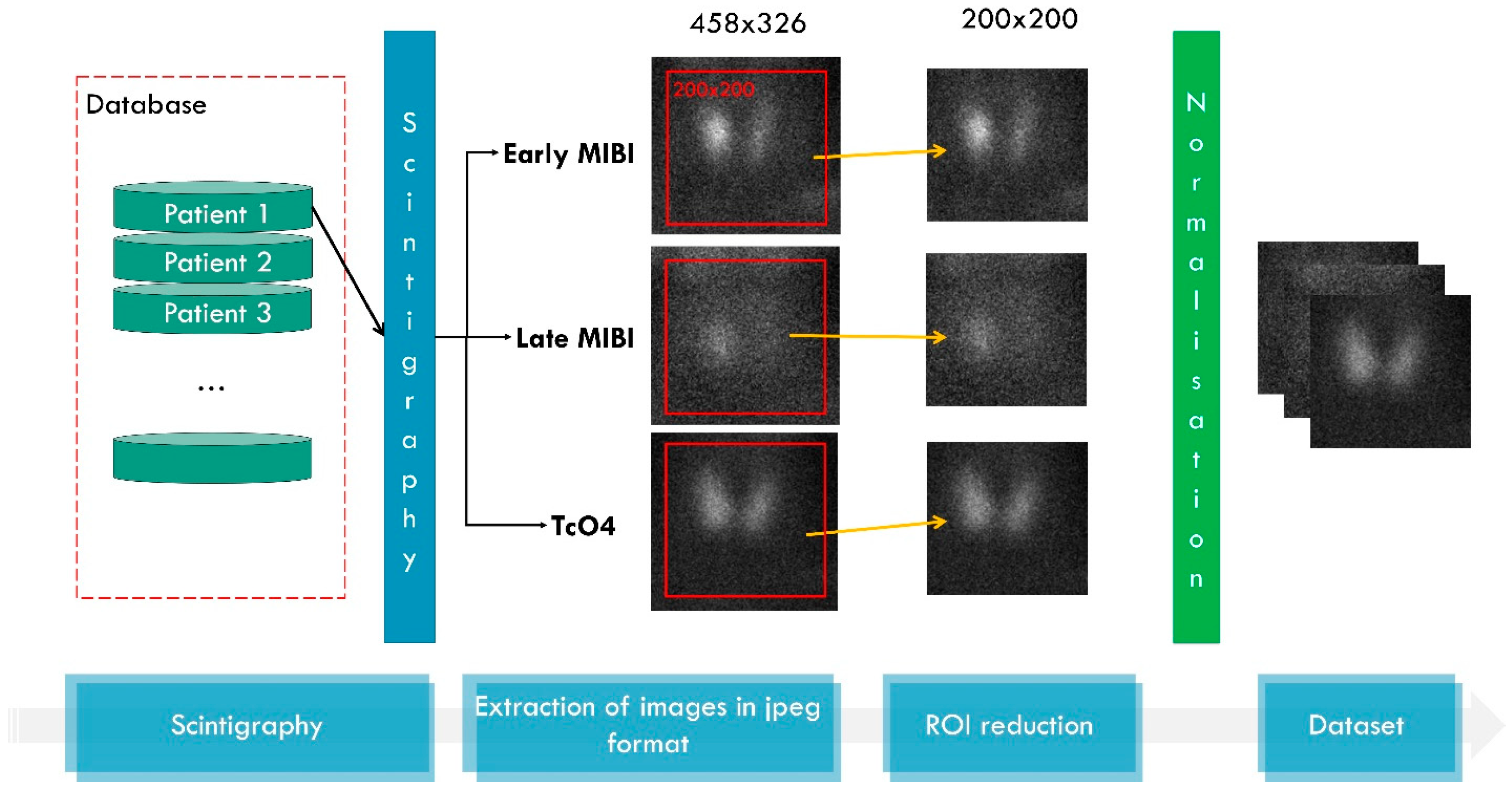 Algorithms 16 00435 g002