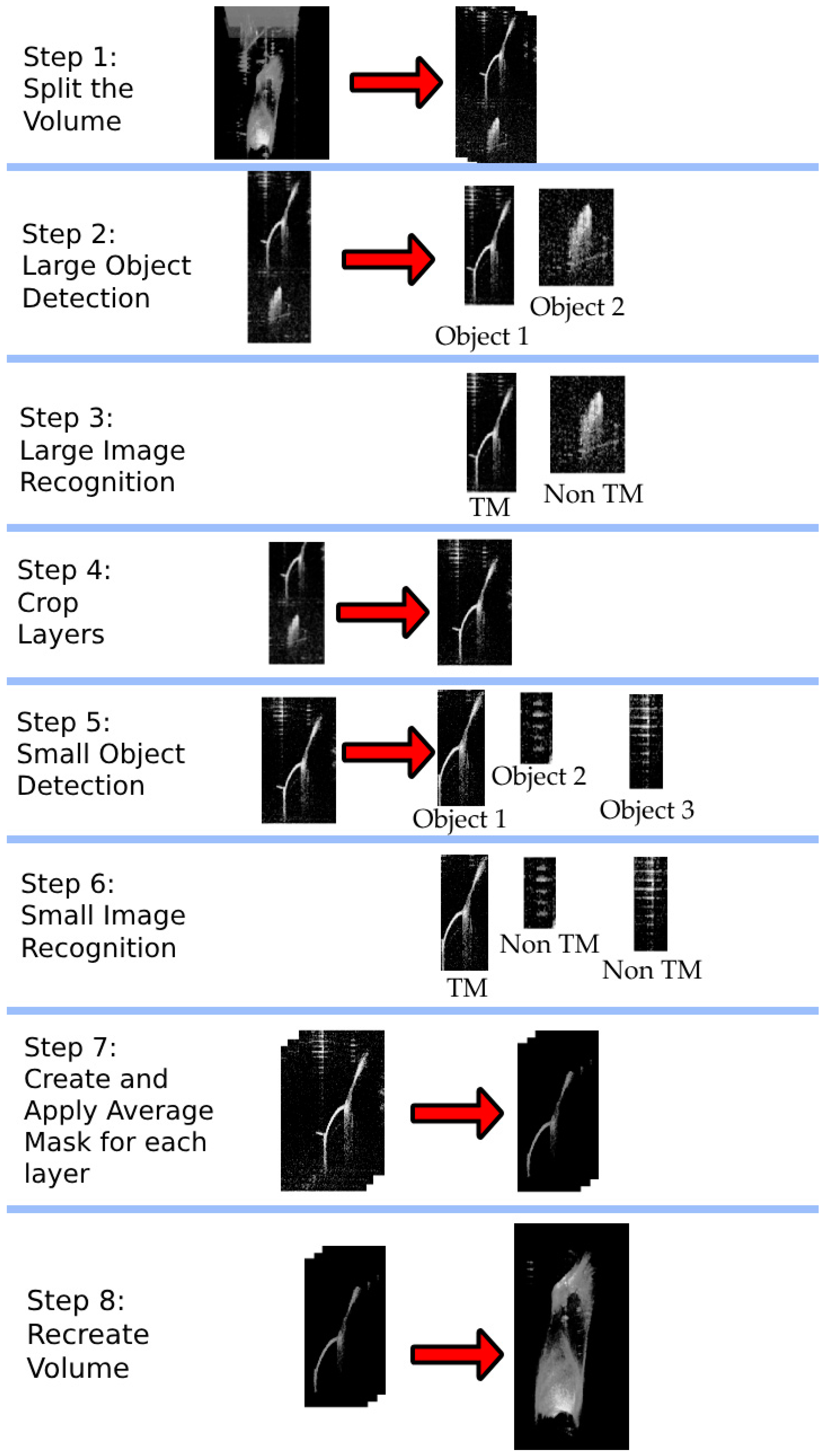 Algorithms 16 00445 g002